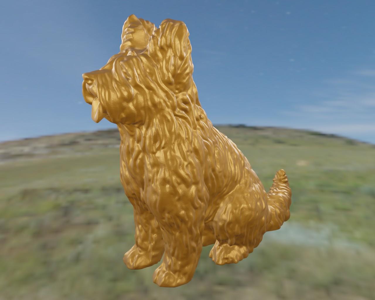 Briard berger de brie 3d model