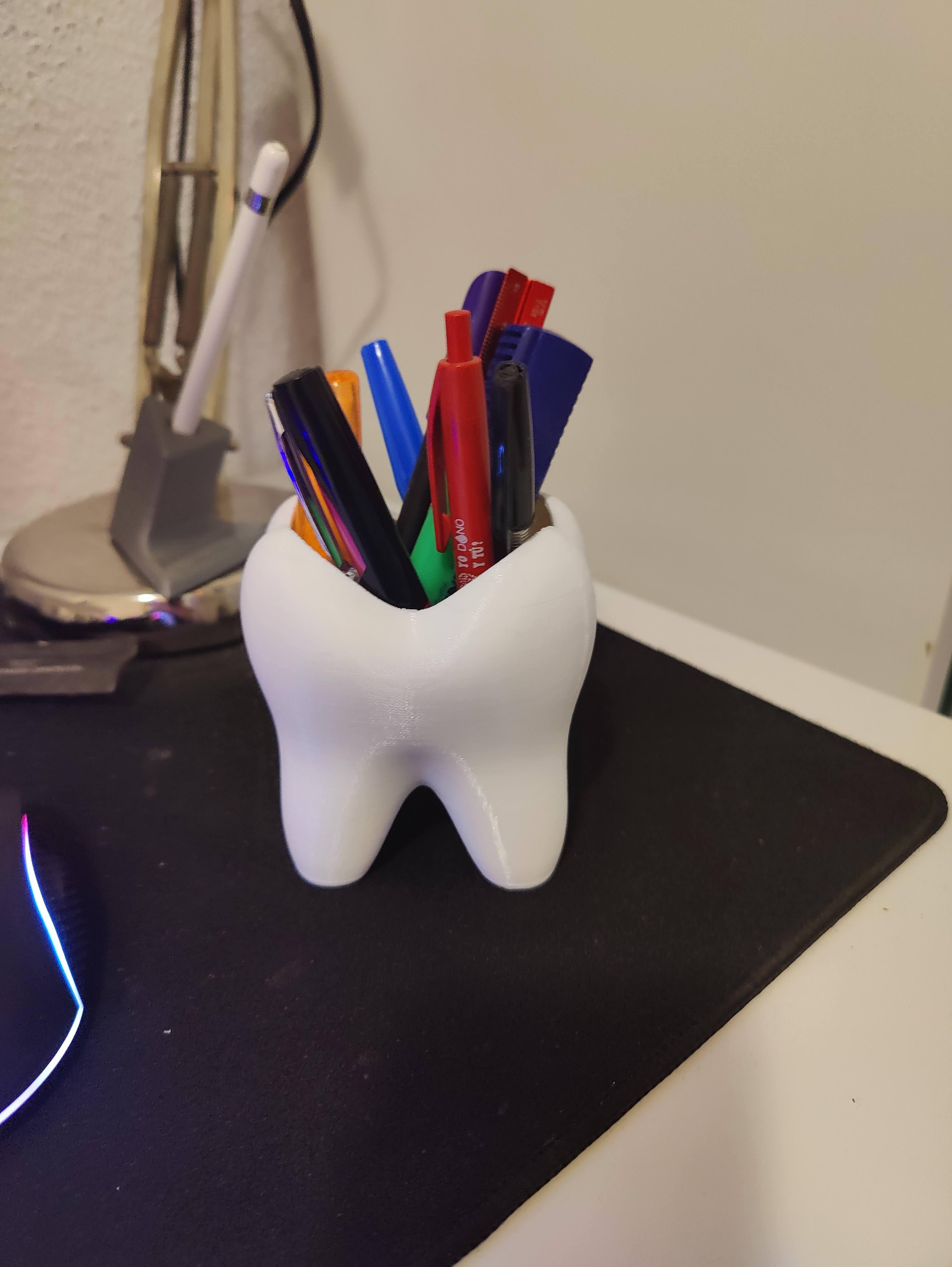 Tooth pencil holder 3d model