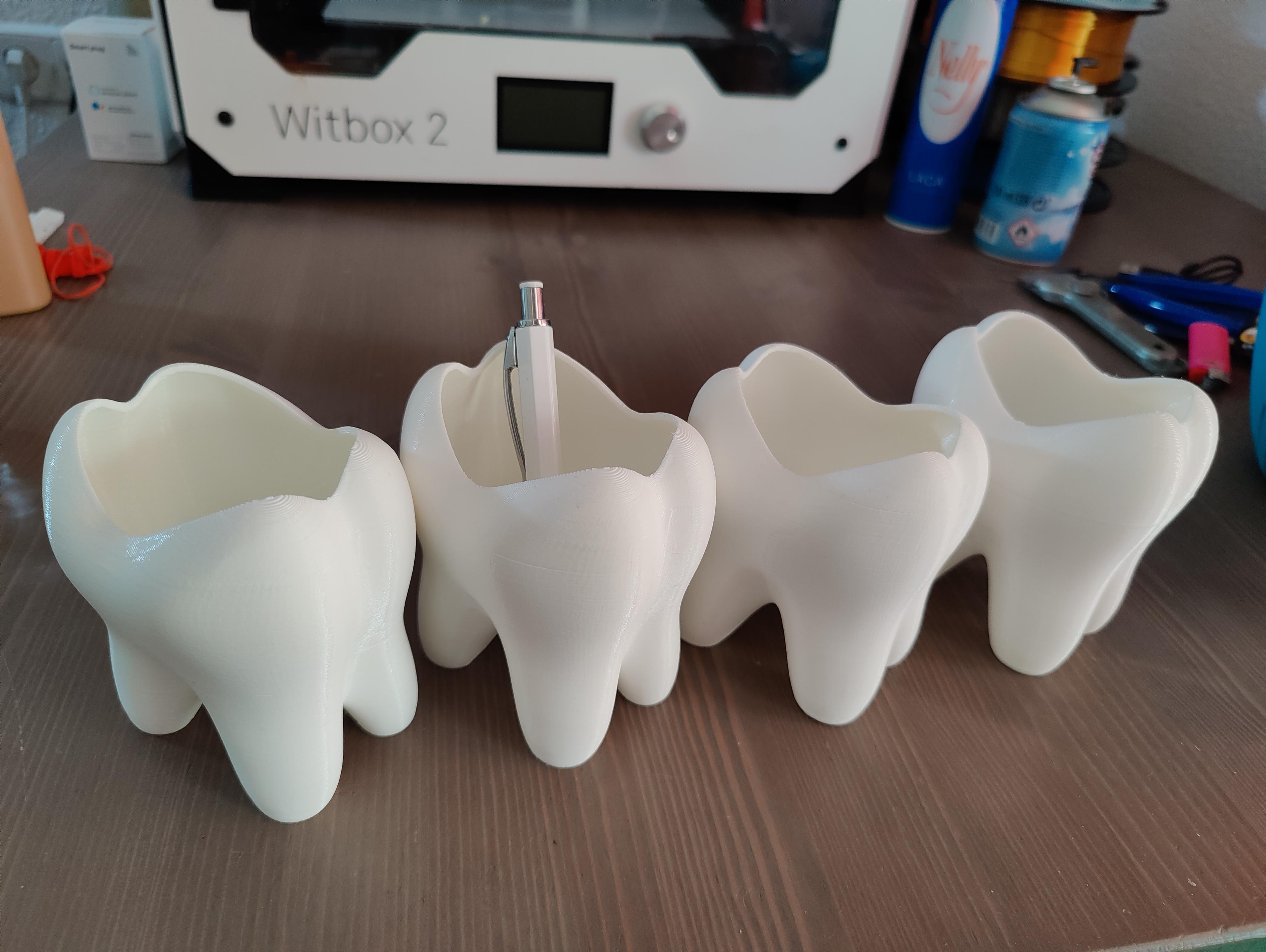 Tooth pencil holder 3d model