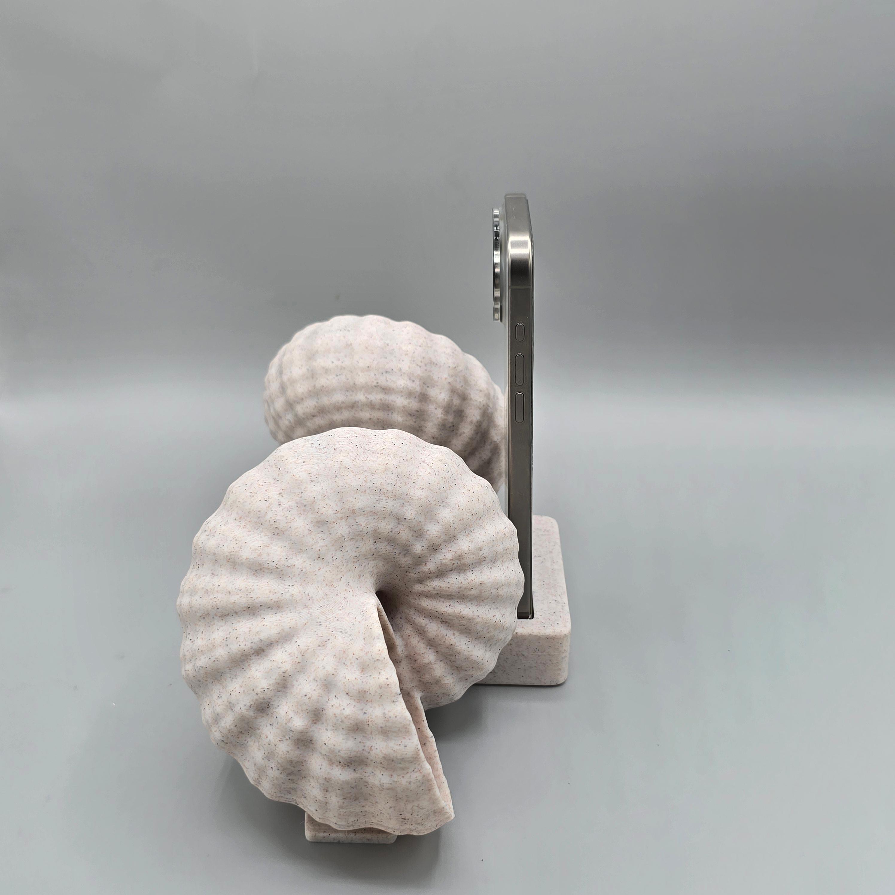 Seashell Horn Amplifier - Very Loud 3d model