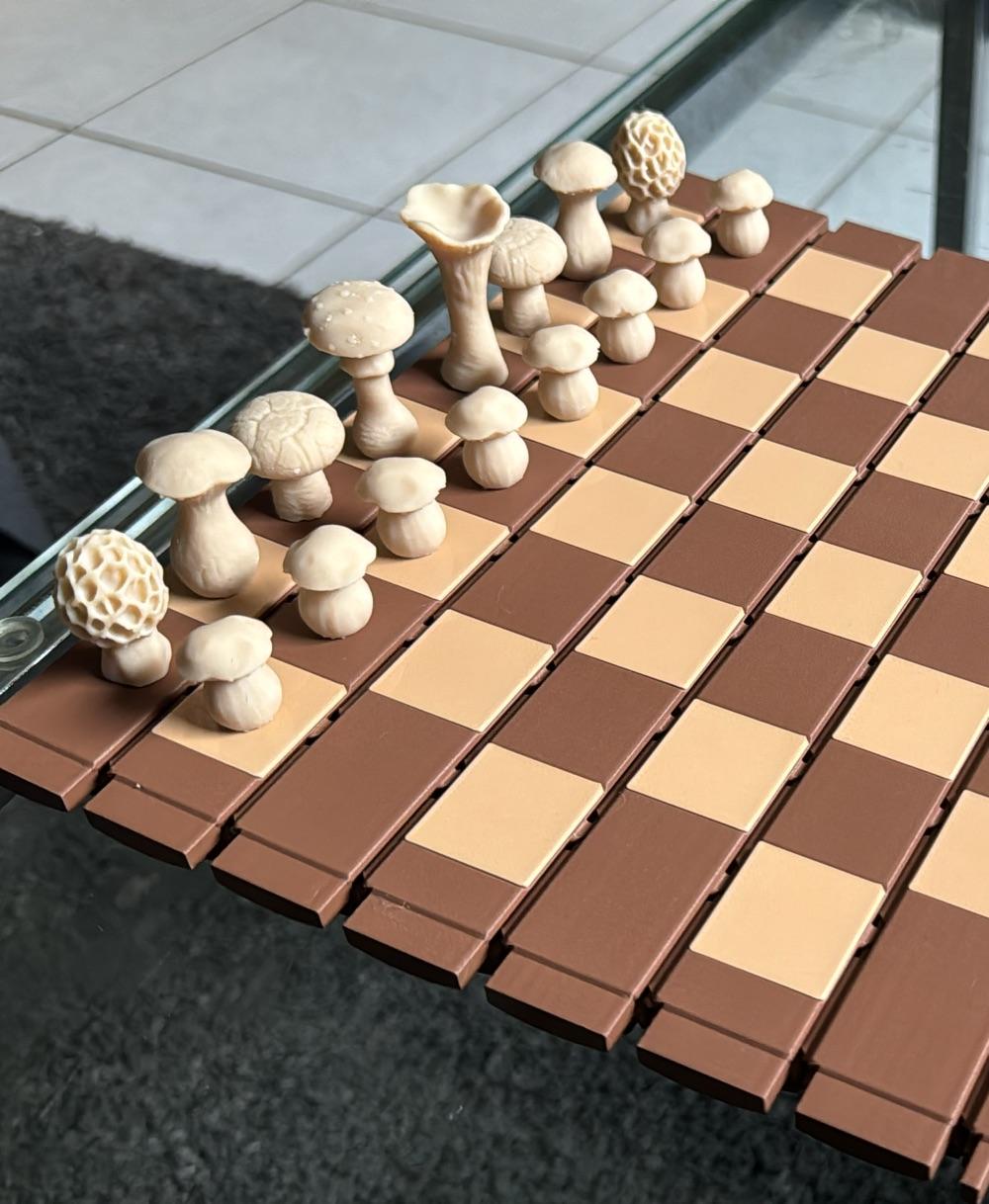 Forest Chess Set - Log and Mushroom Chess Board - Acorn Checkers 3d model