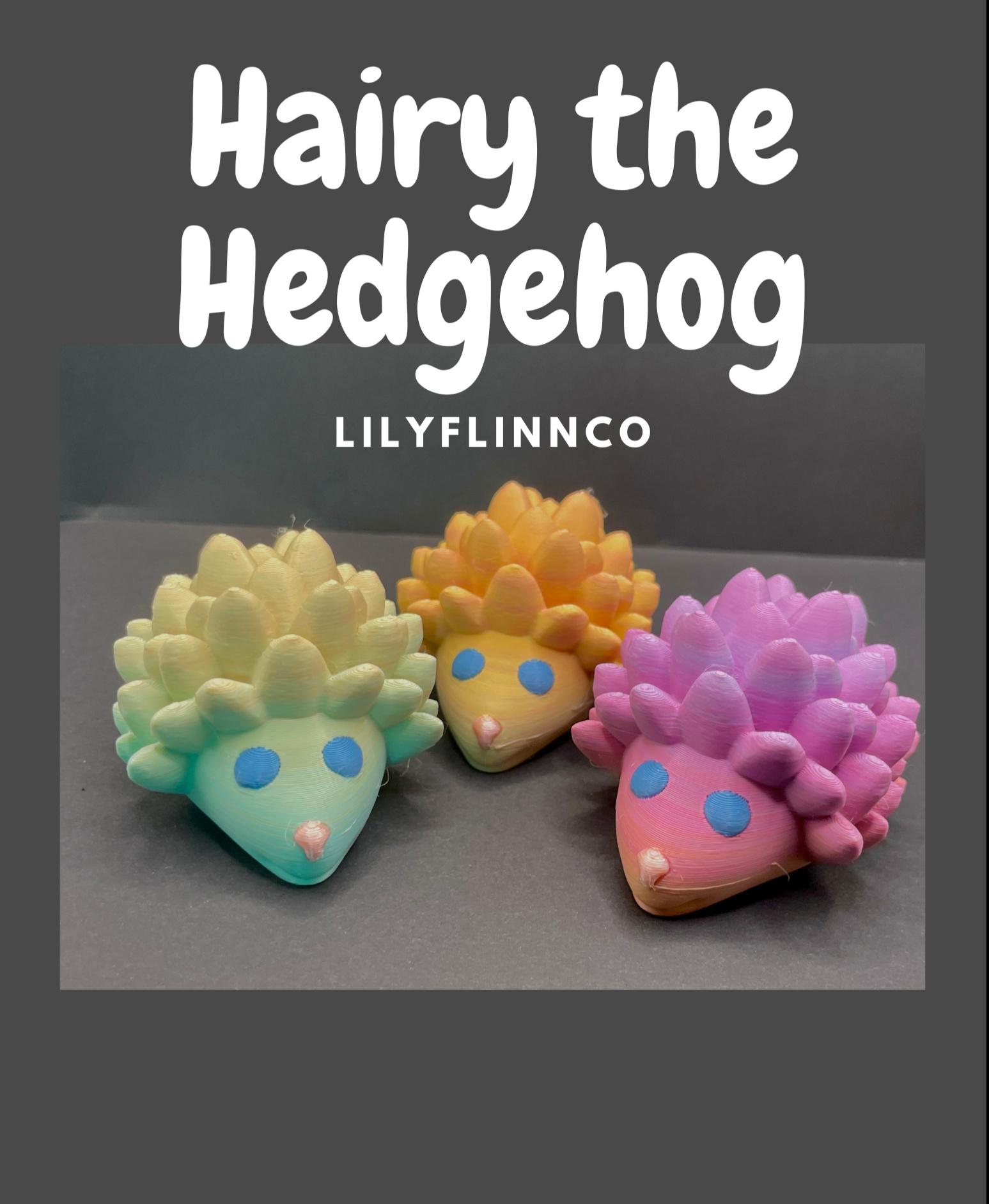 Hairy the Hedgehog - Polymaker Polyterra Pastel Rainbow is the best!! - 3d model
