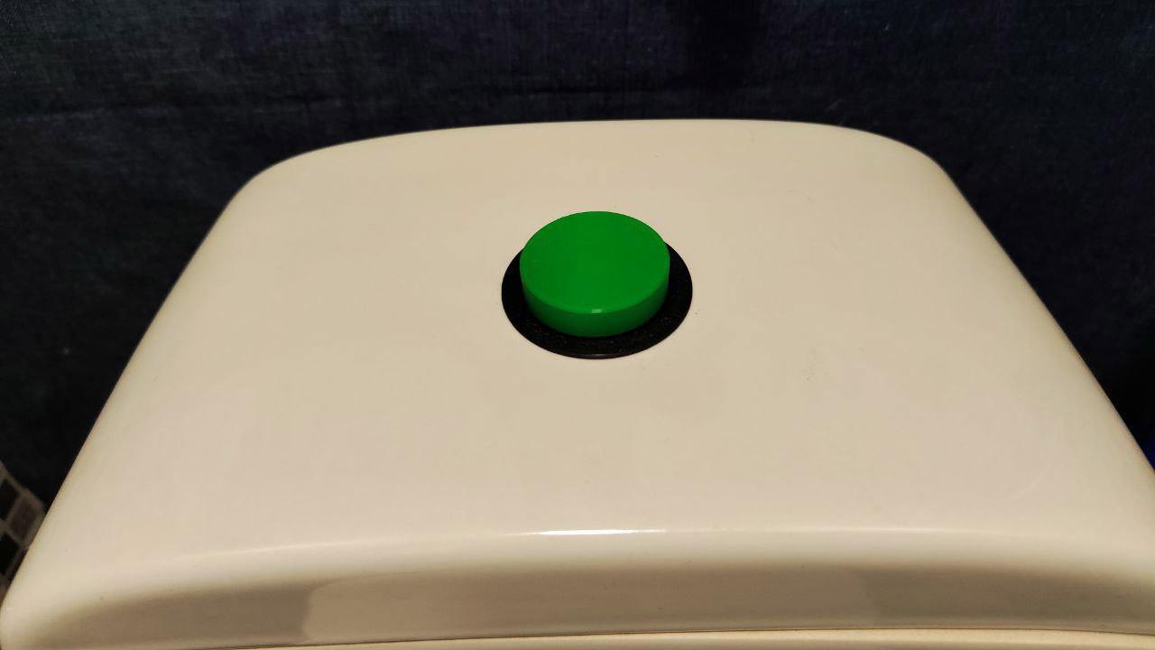 Flush Button 3d model