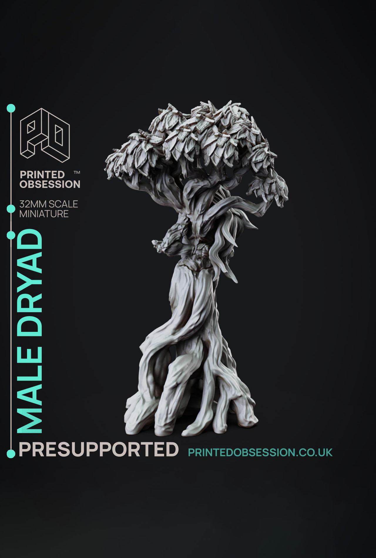 Dryad - Faywild Vs Shadowfell - PRESUPPORTED - Illustrated and Stats - 32mm scale			 3d model