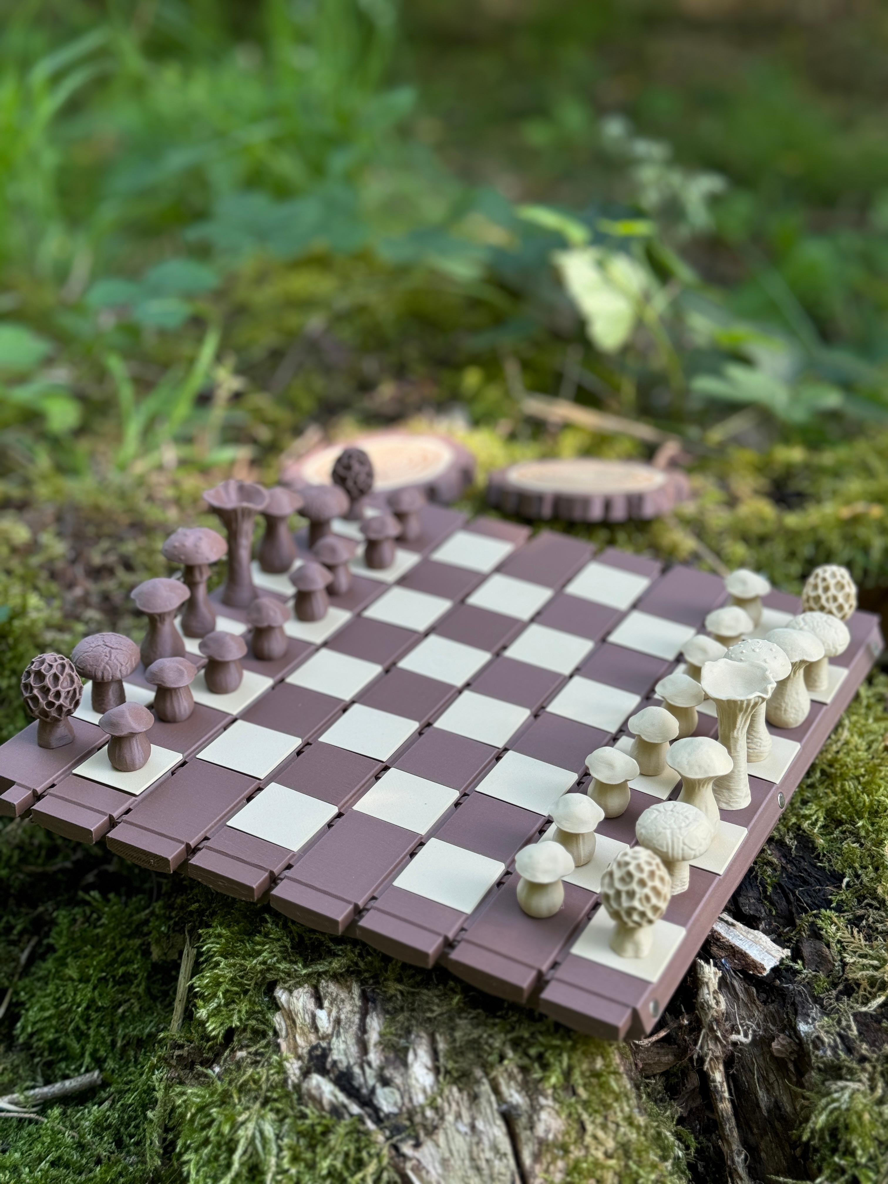 Forest Chess Set - Log and Mushroom Chess Board - Acorn Checkers - Amazing log that turns into a chessboard ! - 3d model