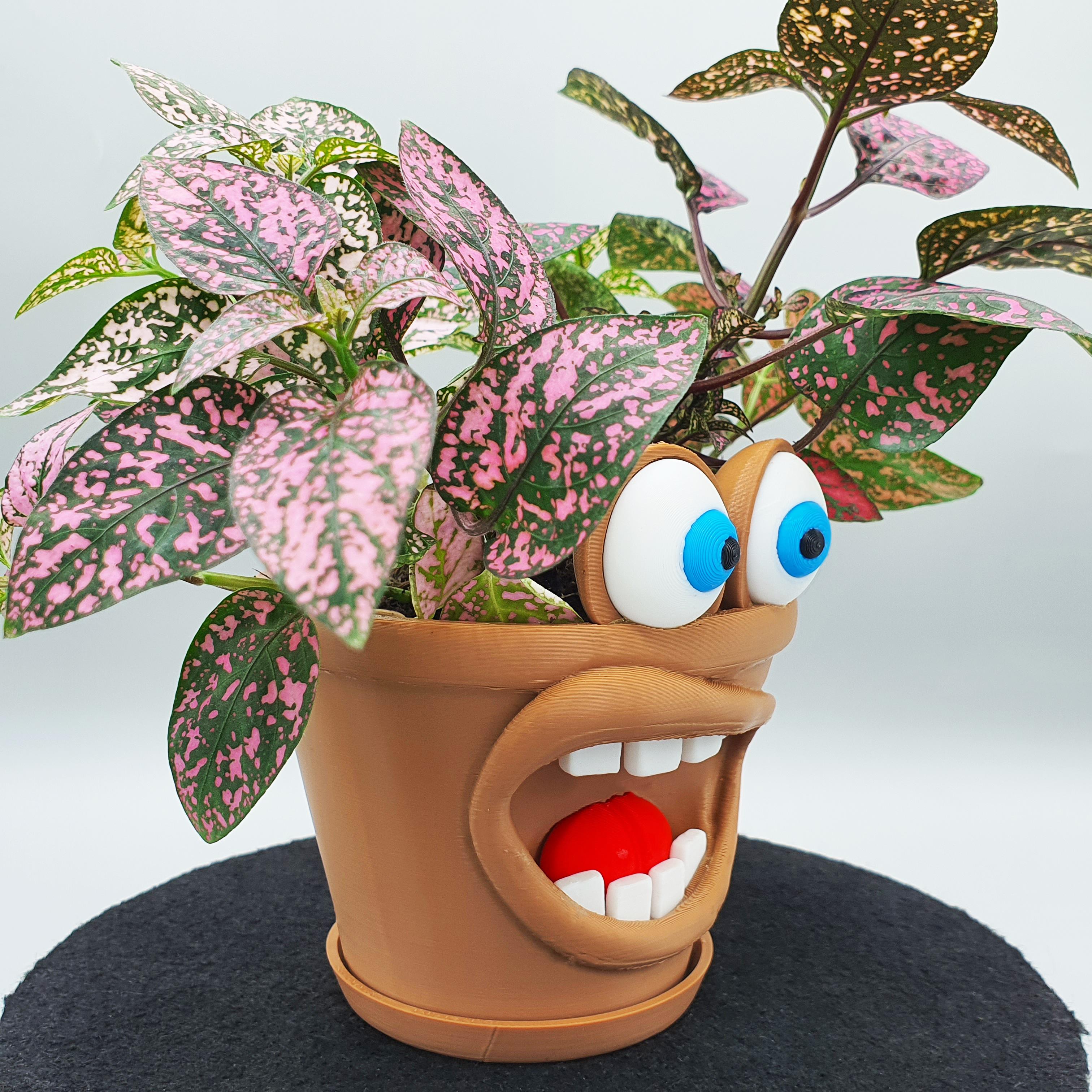 Funny Planter Pot- Chomper Pot 3d model