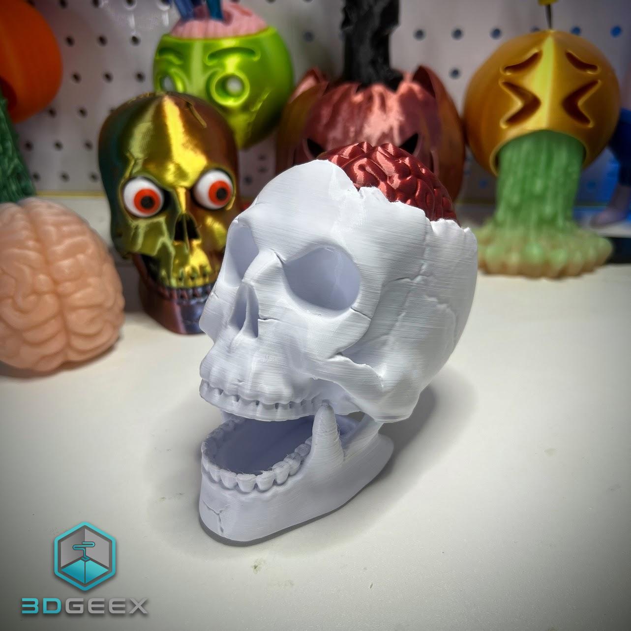 Brain Skull & Brain Skull Box 3d model