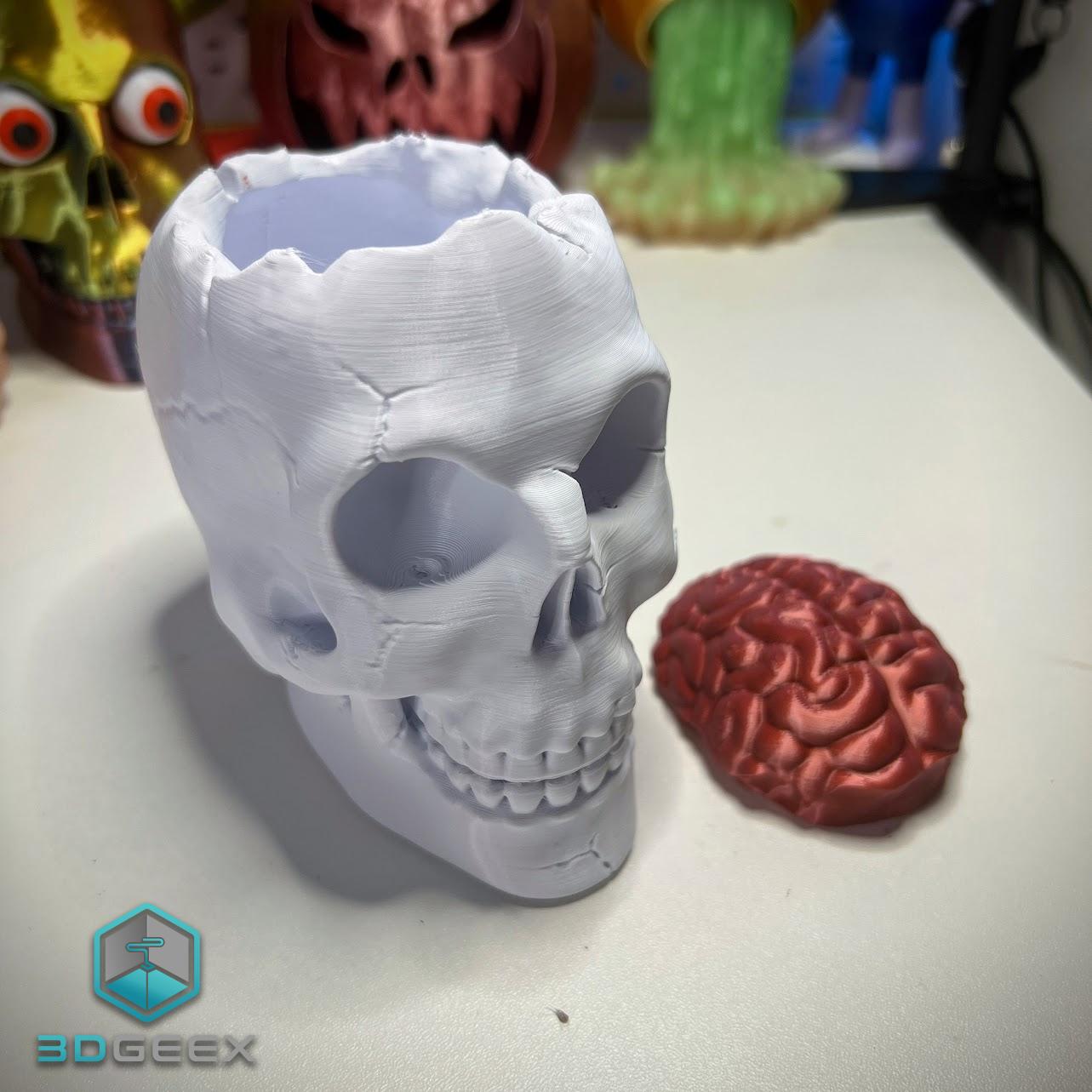 Brain Skull & Brain Skull Box 3d model