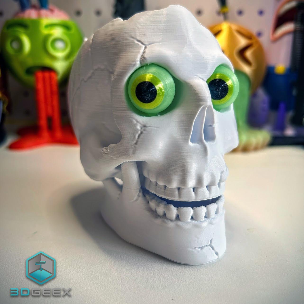 Brain Skull & Brain Skull Box 3d model