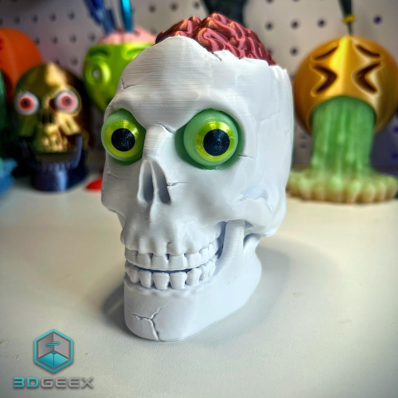 Brain Skull & Brain Skull Box 3d model