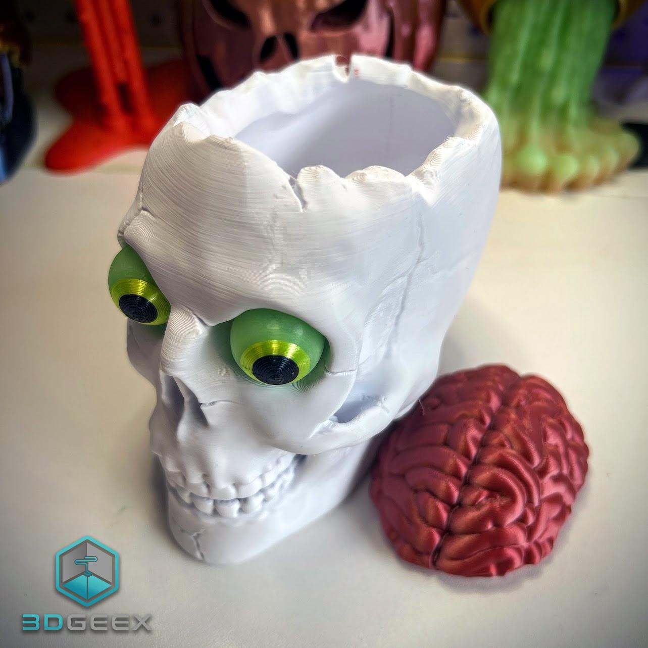 Brain Skull & Brain Skull Box 3d model