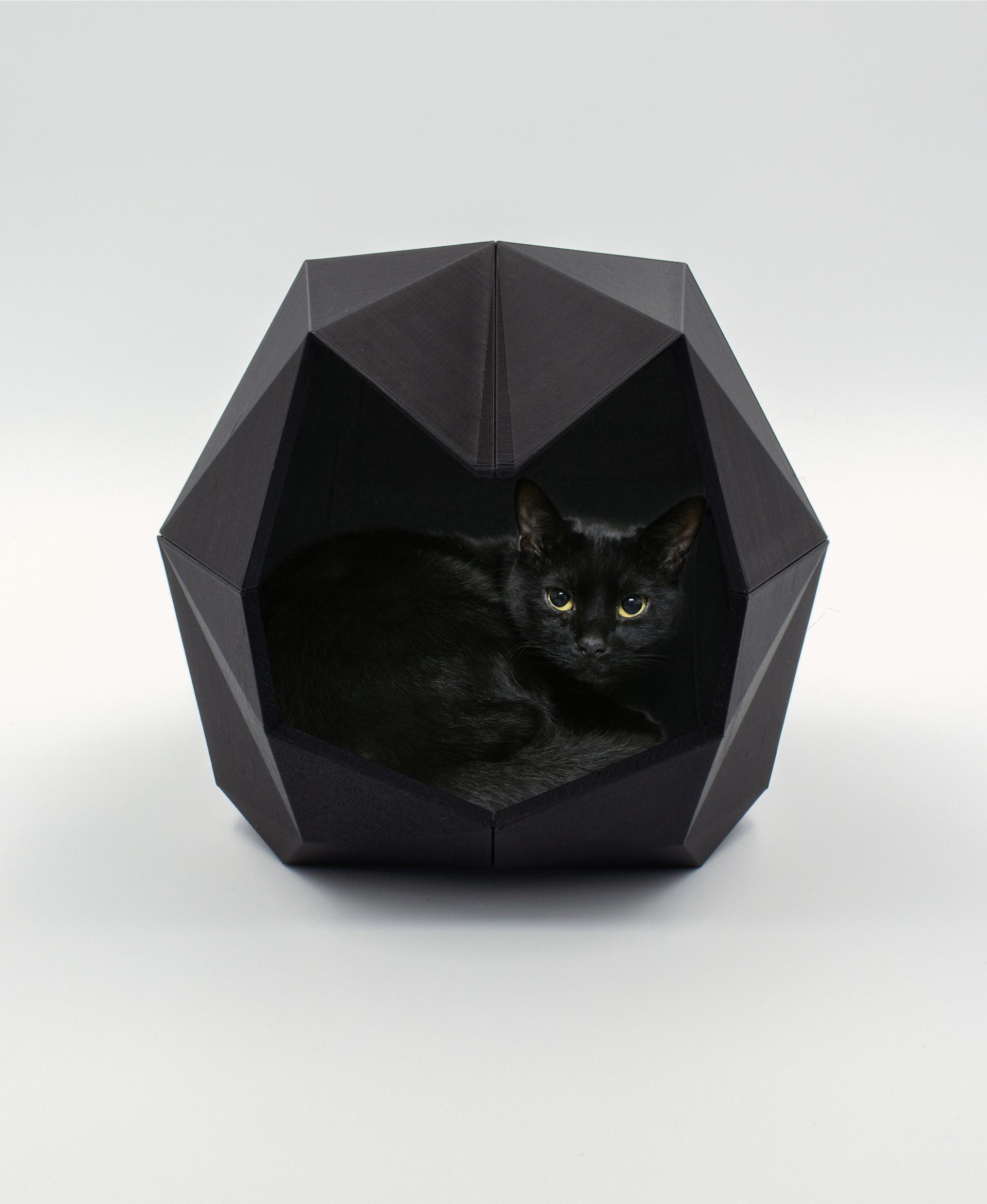 PIA LOW POLY CAT HOUSE 3d model