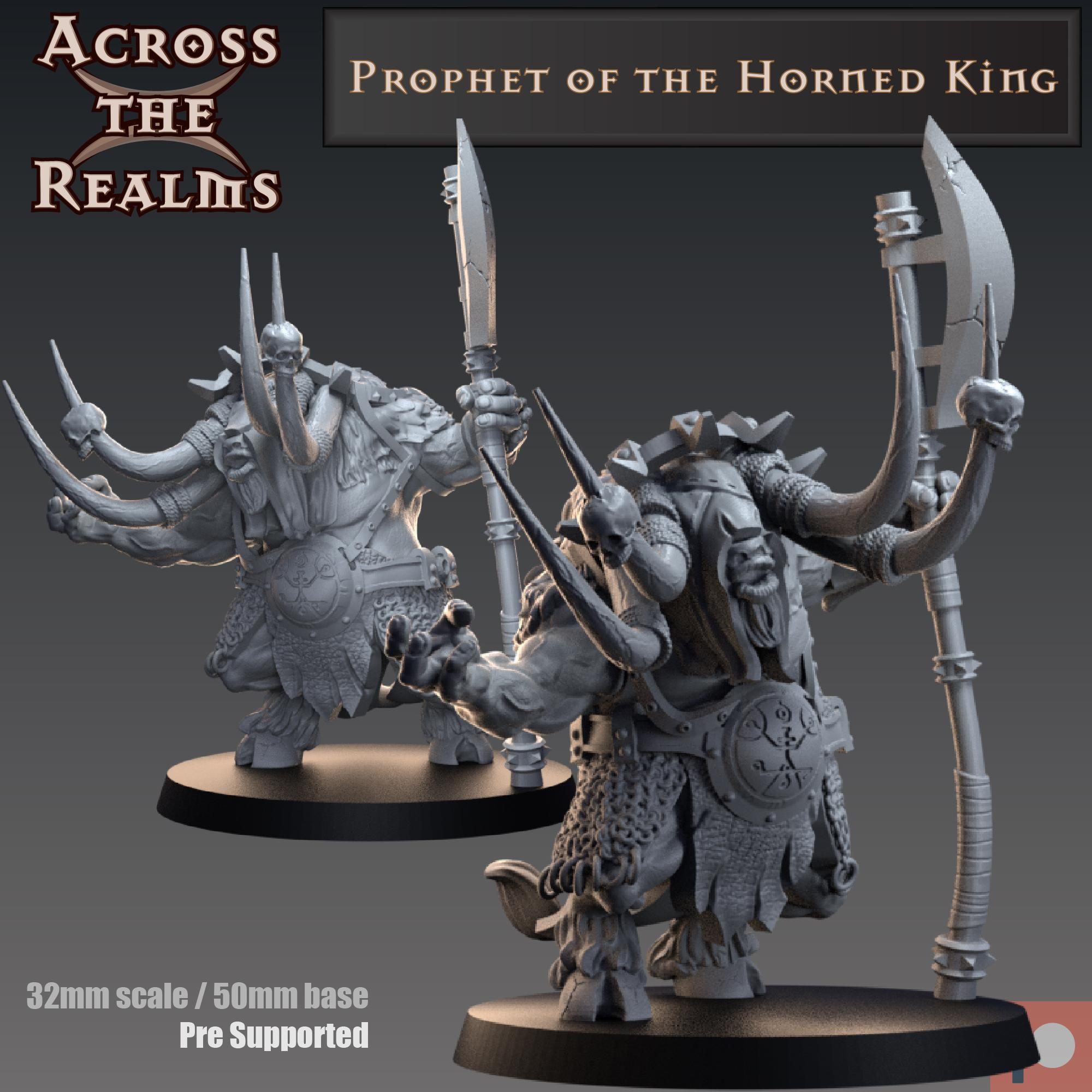 Prophet of the Horned King 3d model