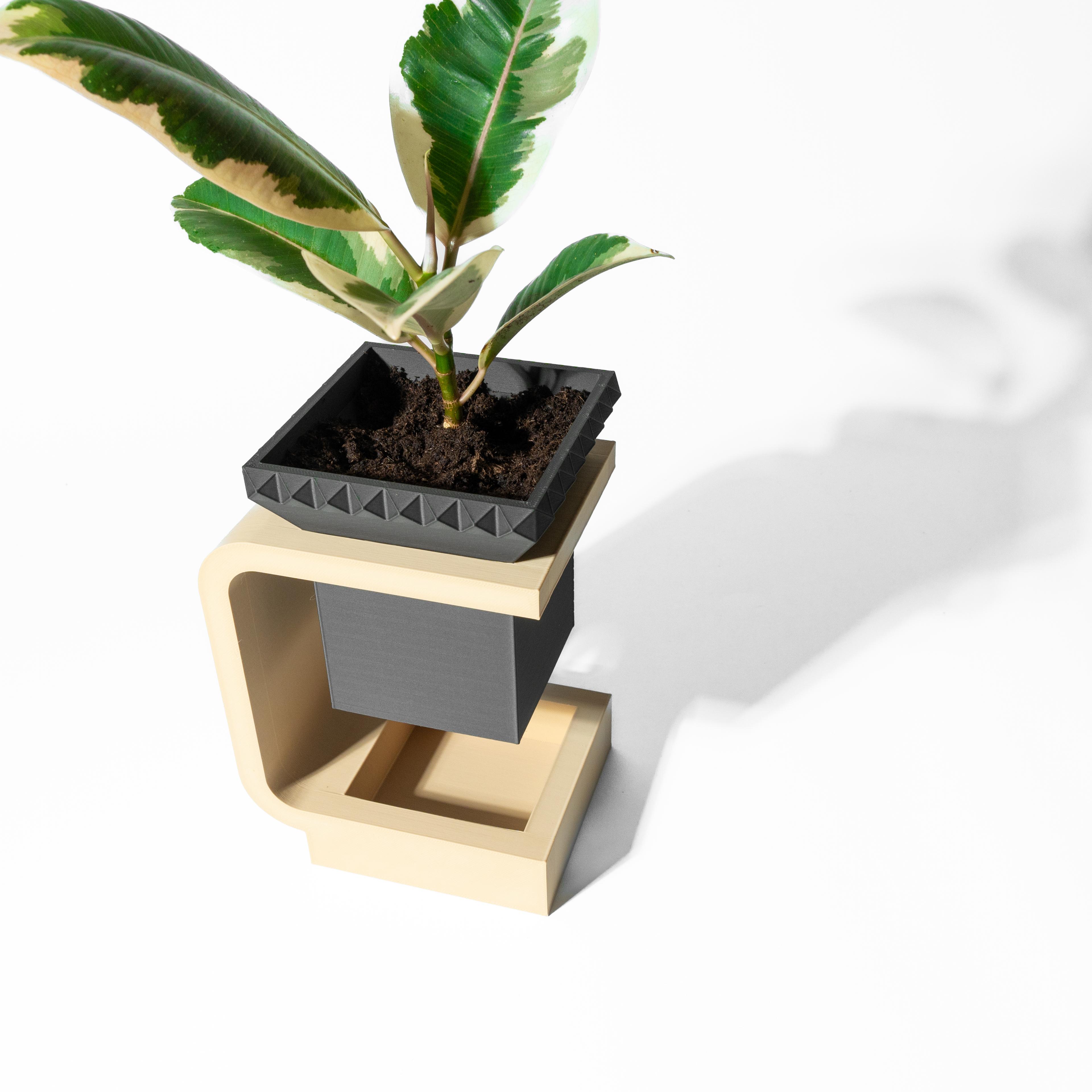 The Daka Planter Pot with Drainage Tray & Stand: Modern and Unique Home Decor for Plants 3d model