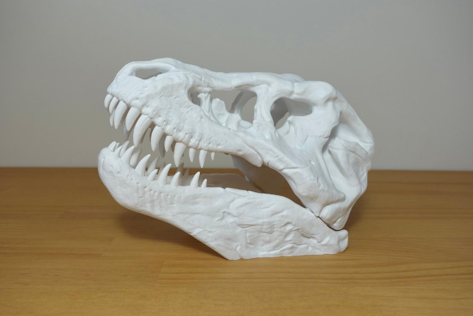 T-Rex Skull (MysticMesh3D) 3d model