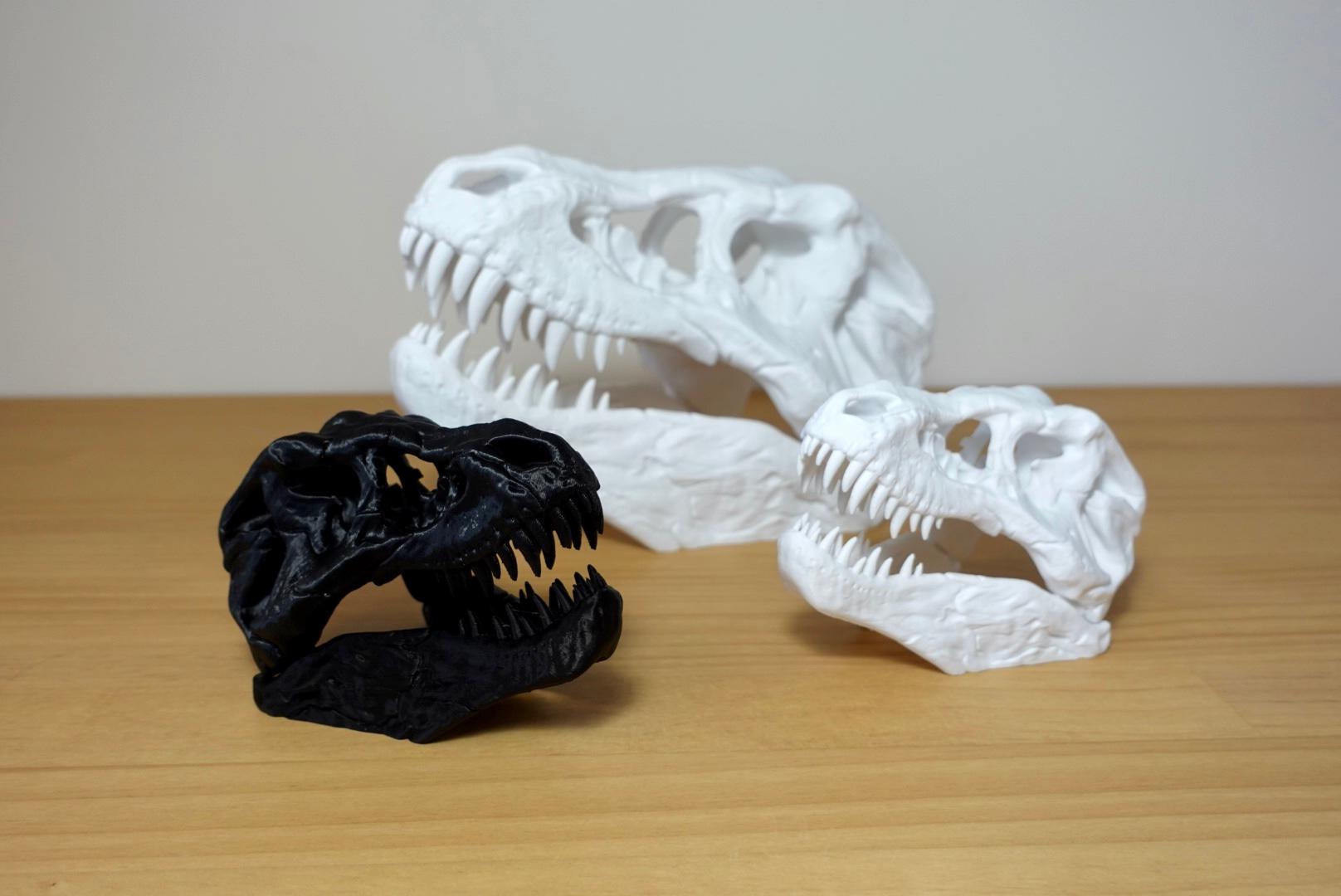 T-Rex Skull 3d model
