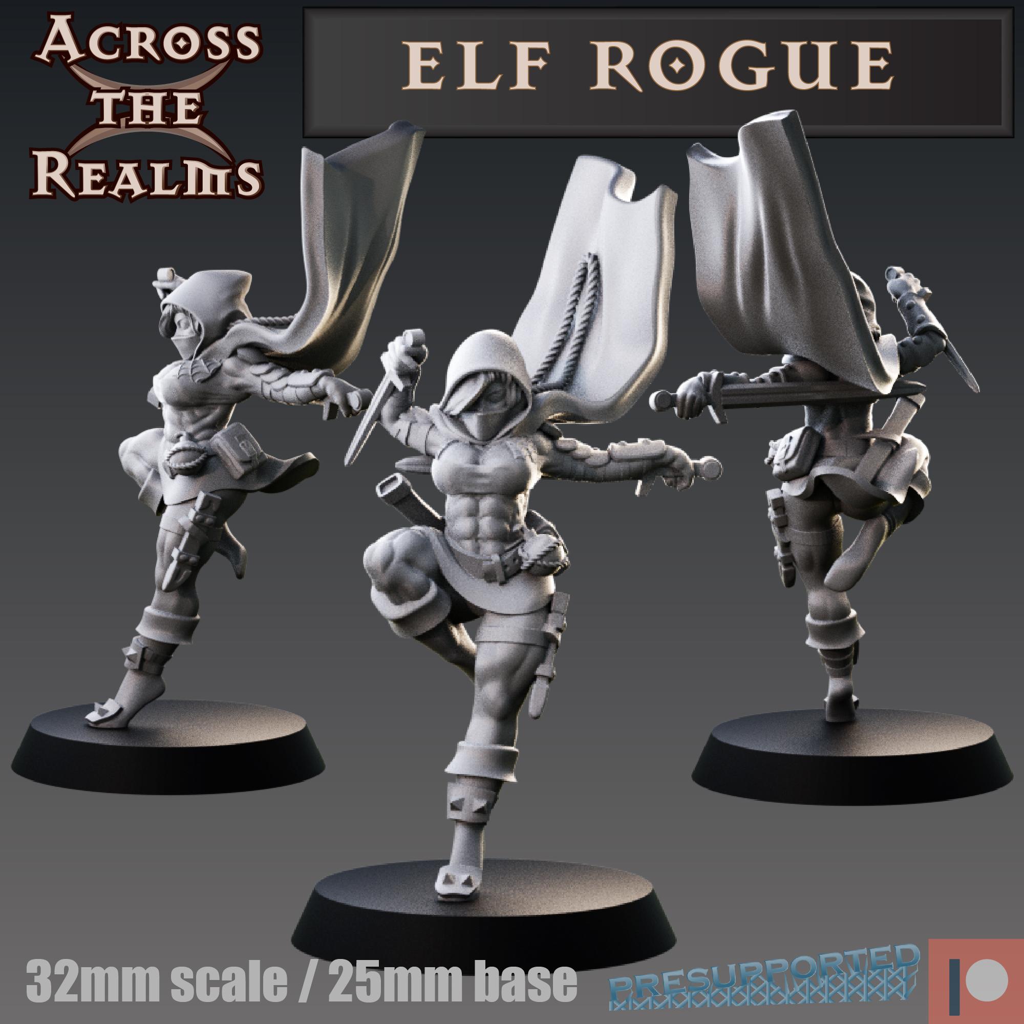 Elf Rogue 3d model