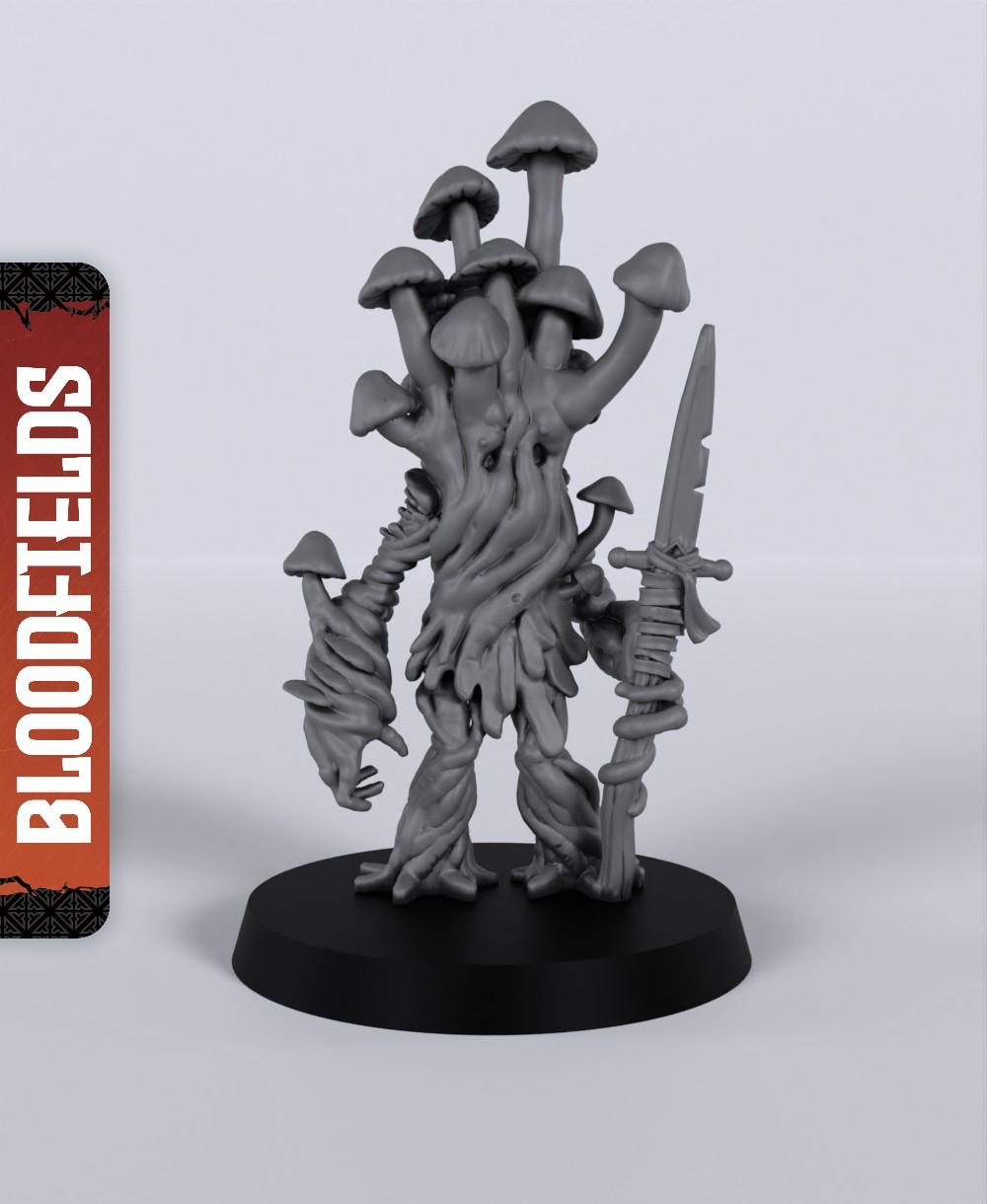Shroom Elder - With Free Dragon Warhammer - 5e DnD Inspired for RPG and Wargamers 3d model