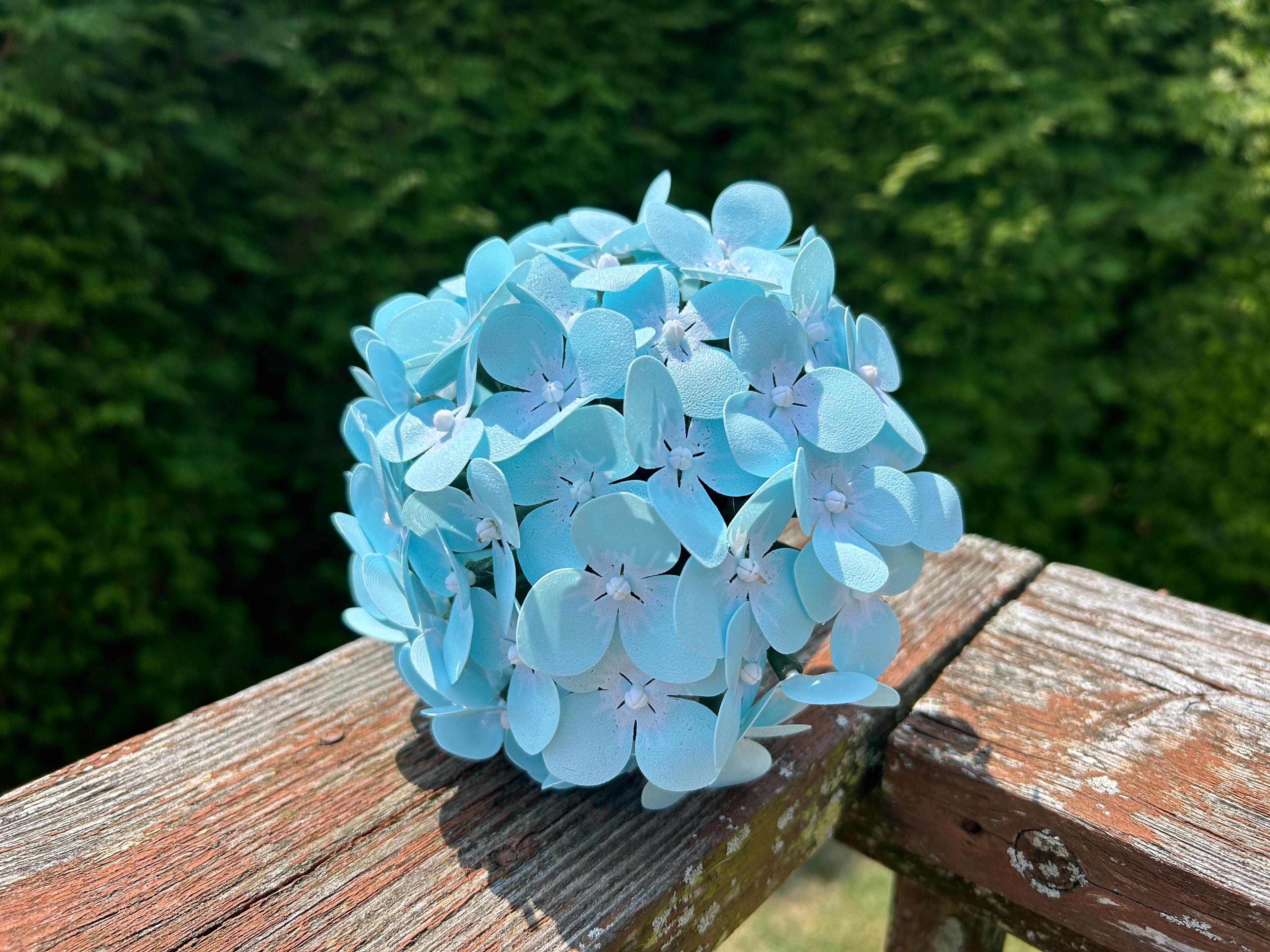 Blue Hydrangea! 3d model