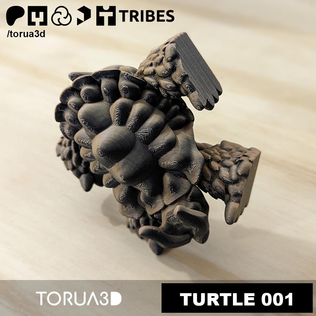  Articulated Turtle 001 by TORUA3D 3d model