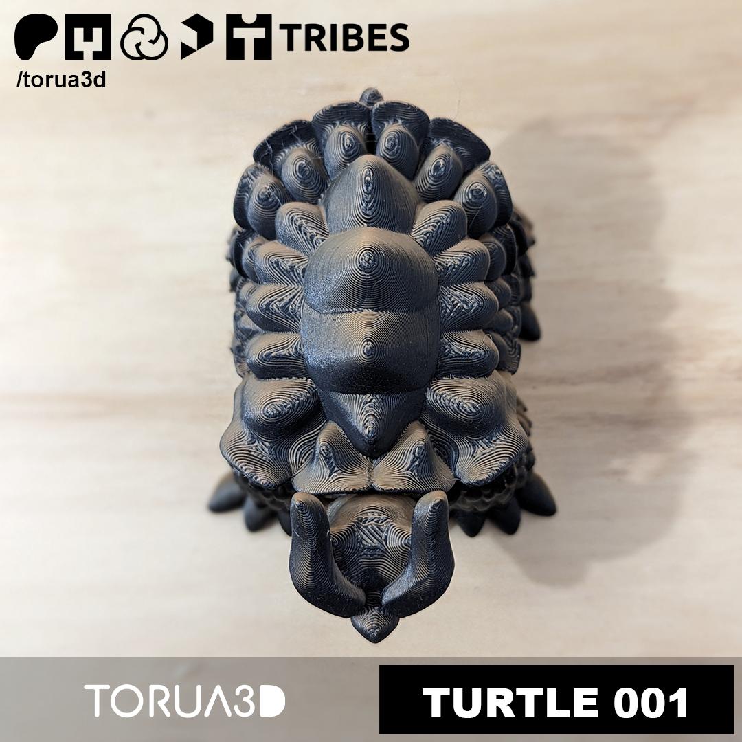  Articulated Turtle 001 by TORUA3D 3d model