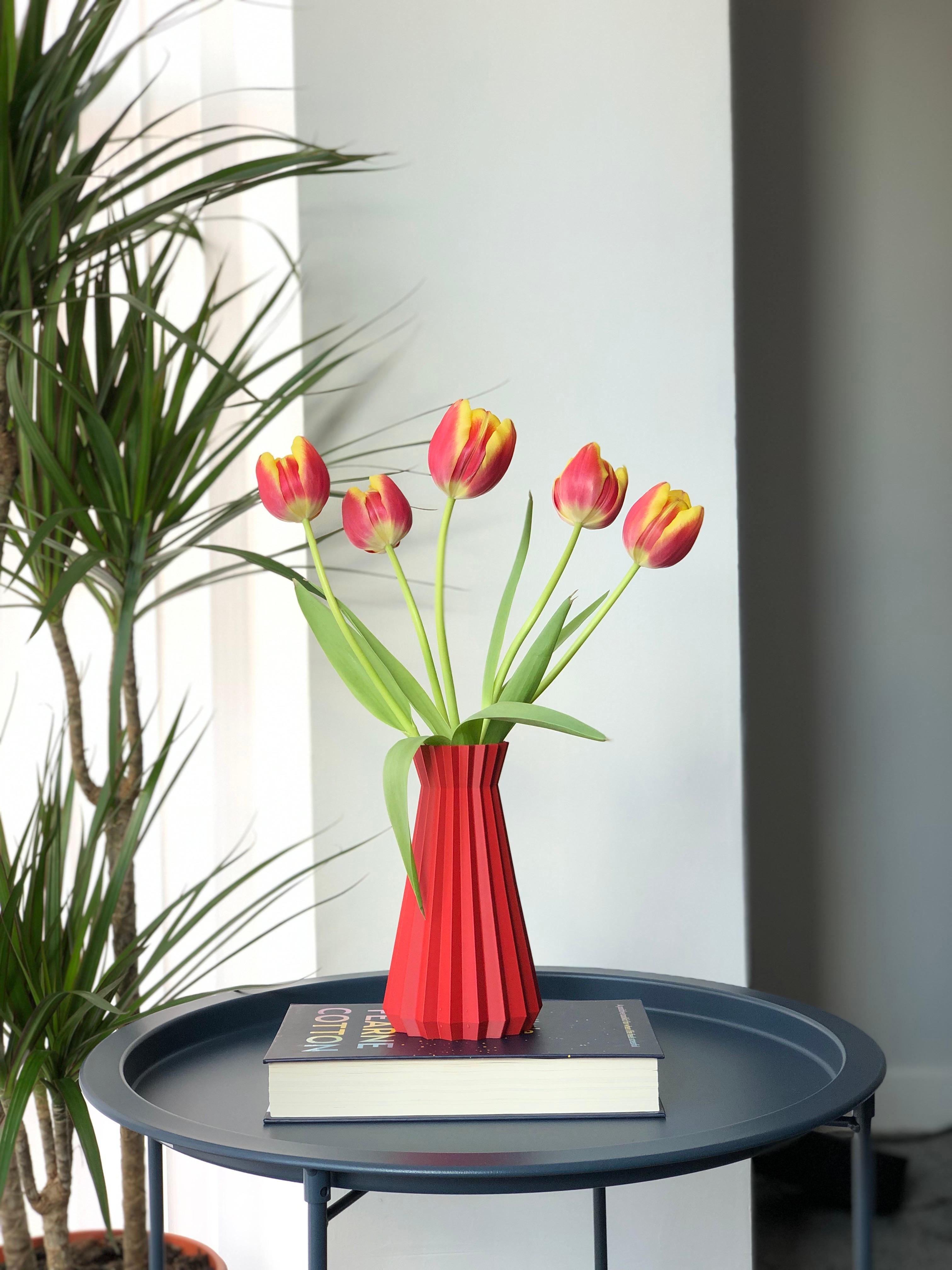 Modern Indoor Vase - Hera 3d model