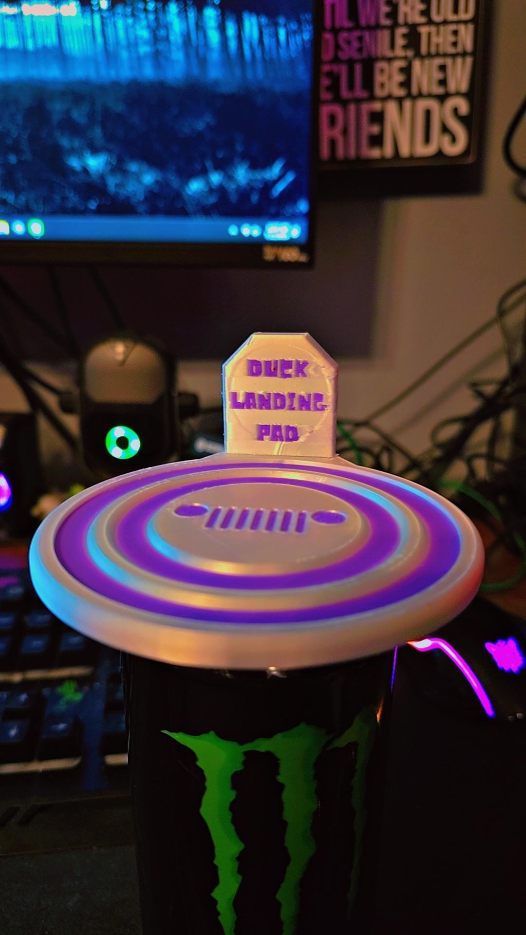 Duck Landing Pad 3d model
