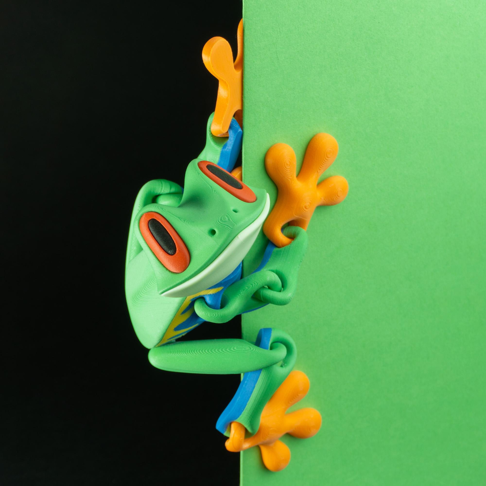 Blob Frog - Flexi Magnetic Fidget Art Toy 3d model