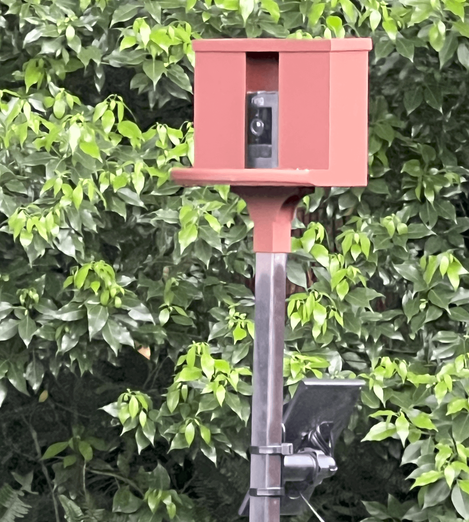 Ring Camera Bird Feeder 3d model