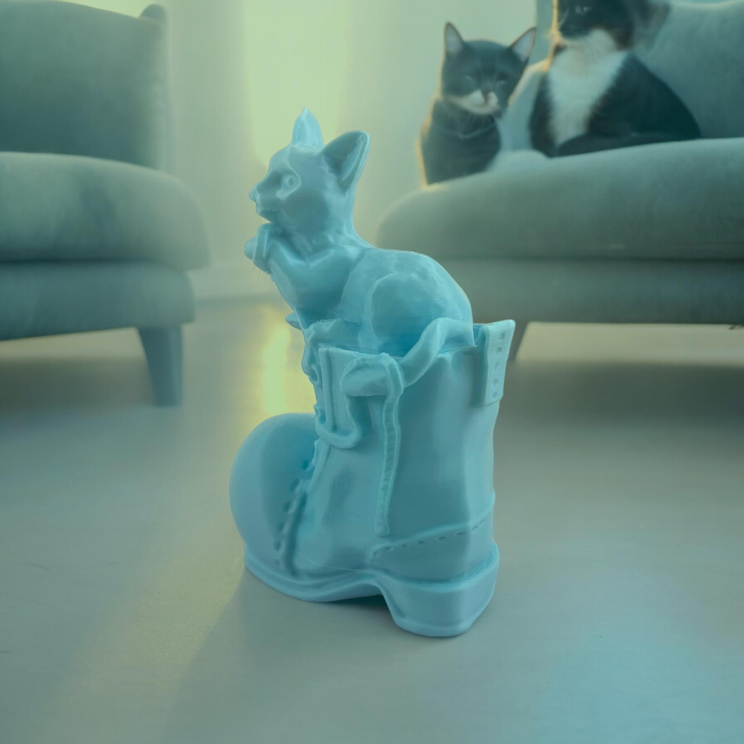 cat on boot new 3d model