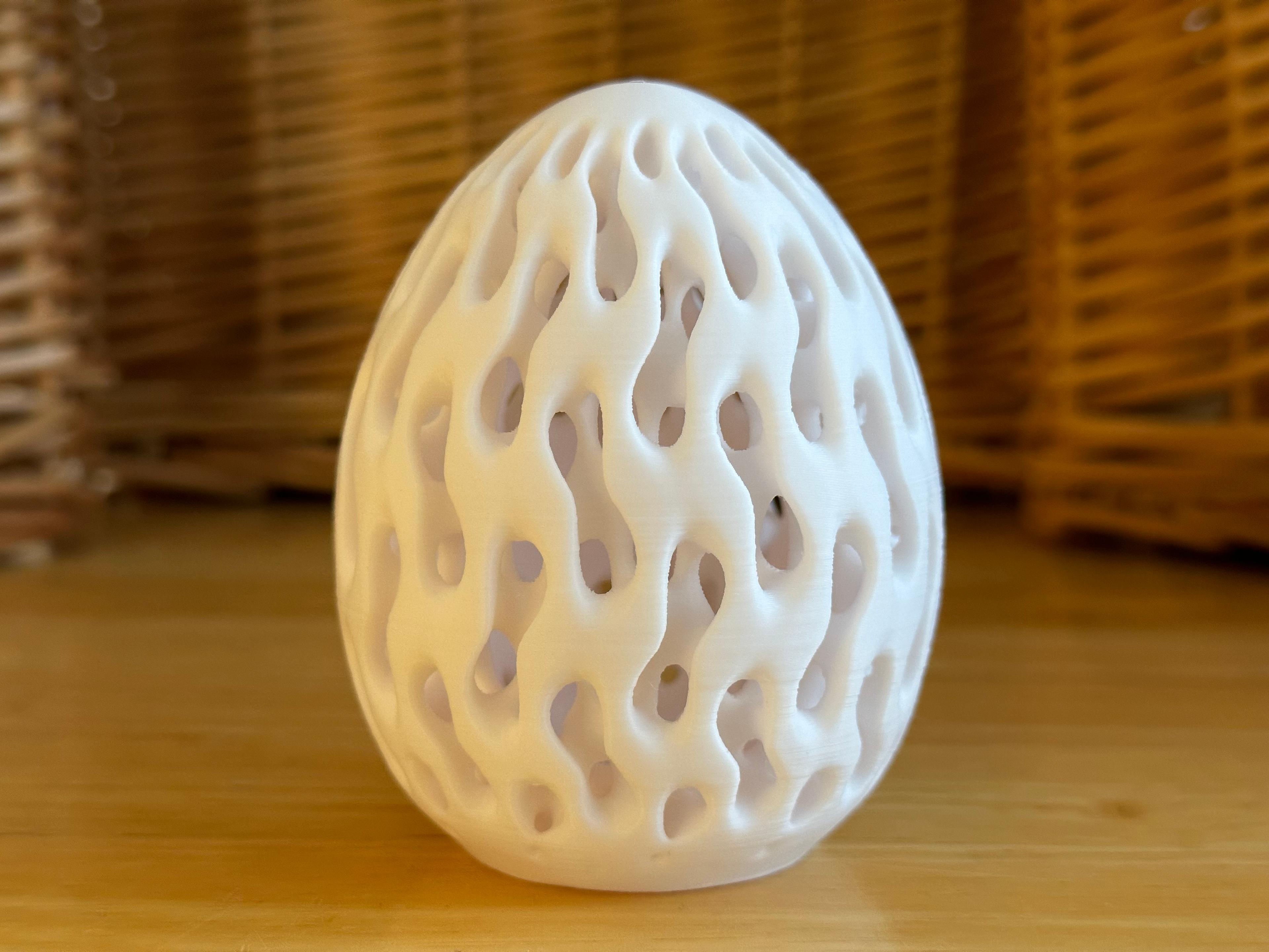 Organic Egg 3 3d model