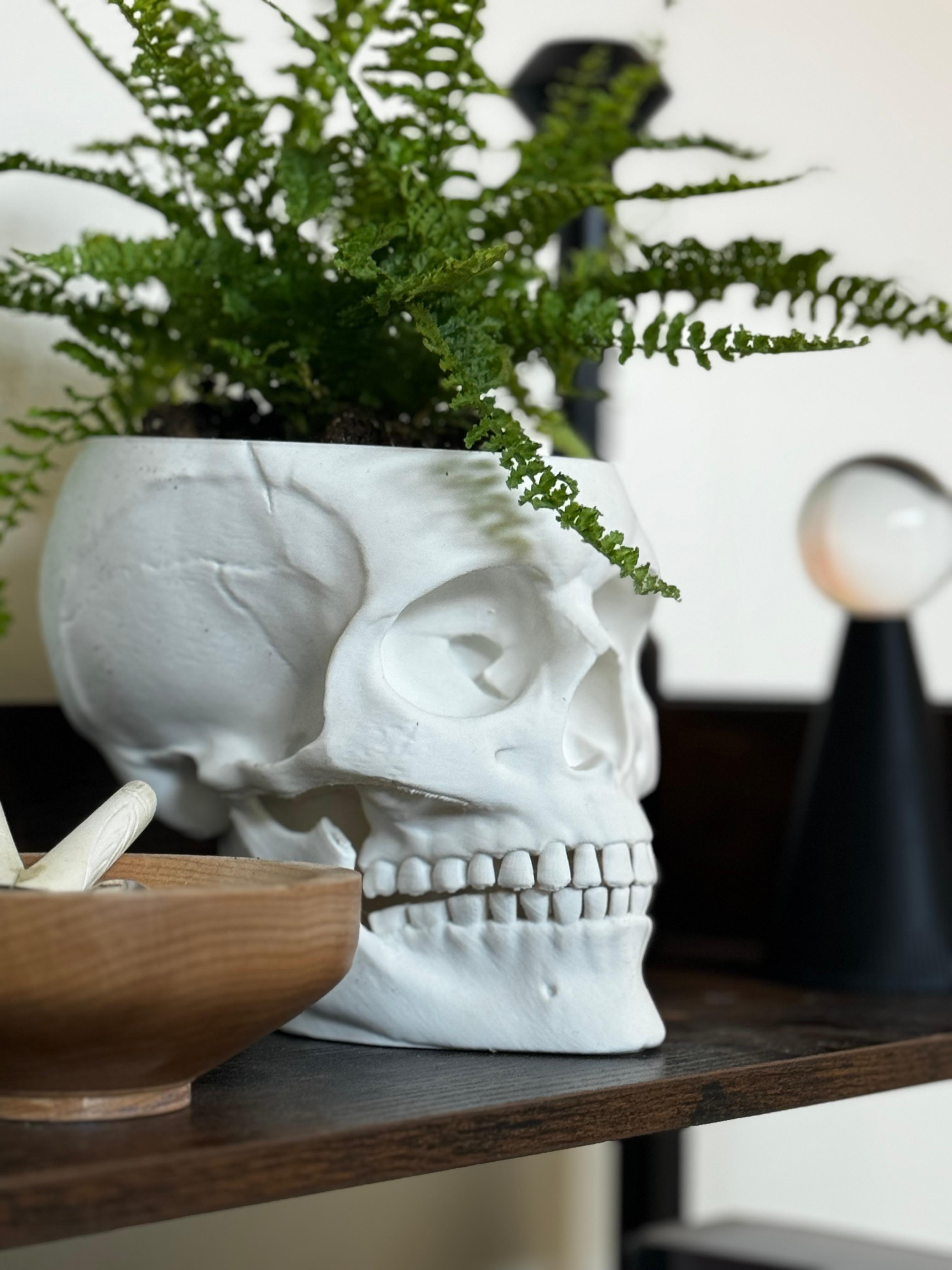 Skull Planter with Jaw drip container stand 3d model