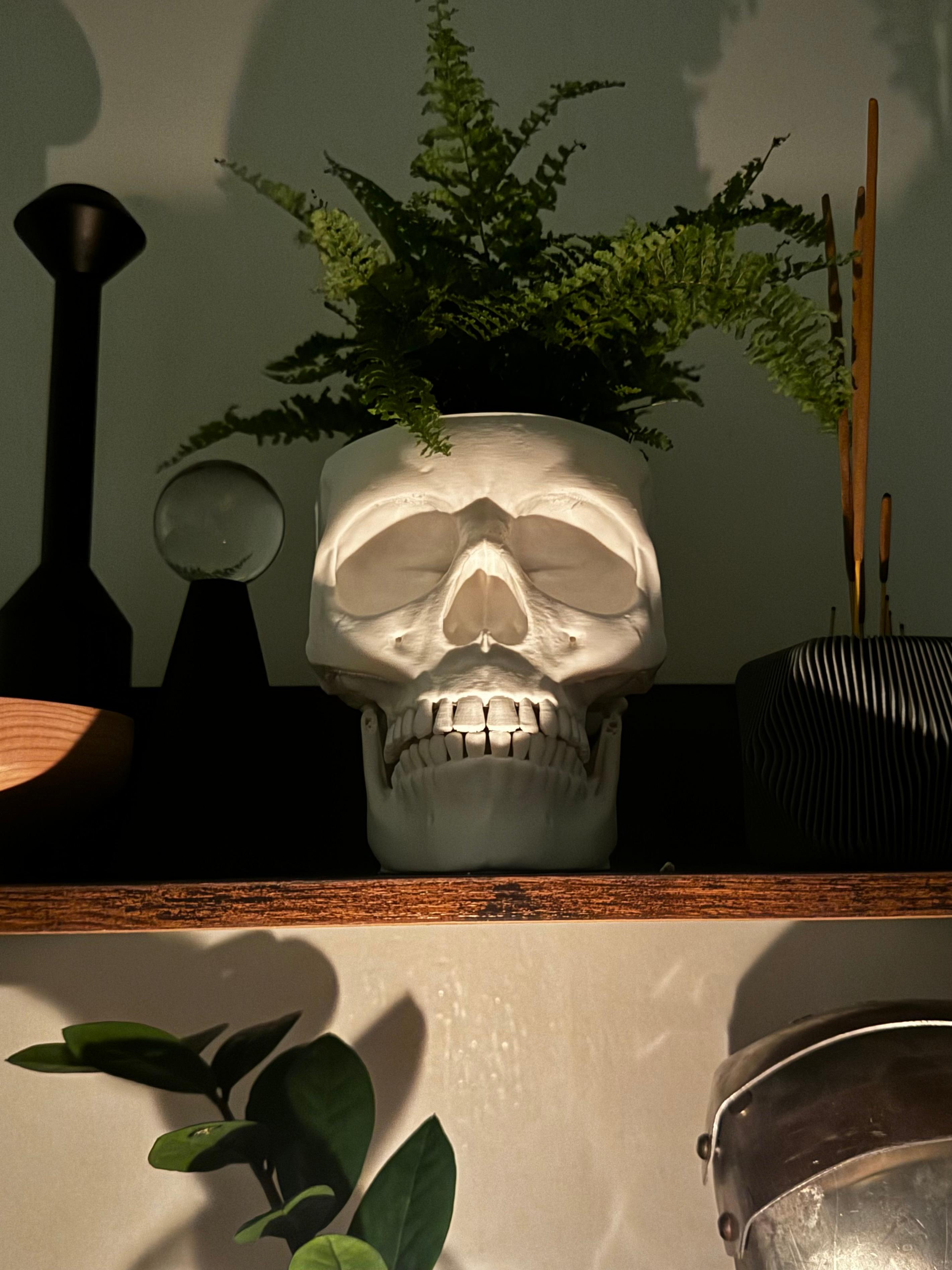 Skull Planter with Jaw drip container stand 3d model