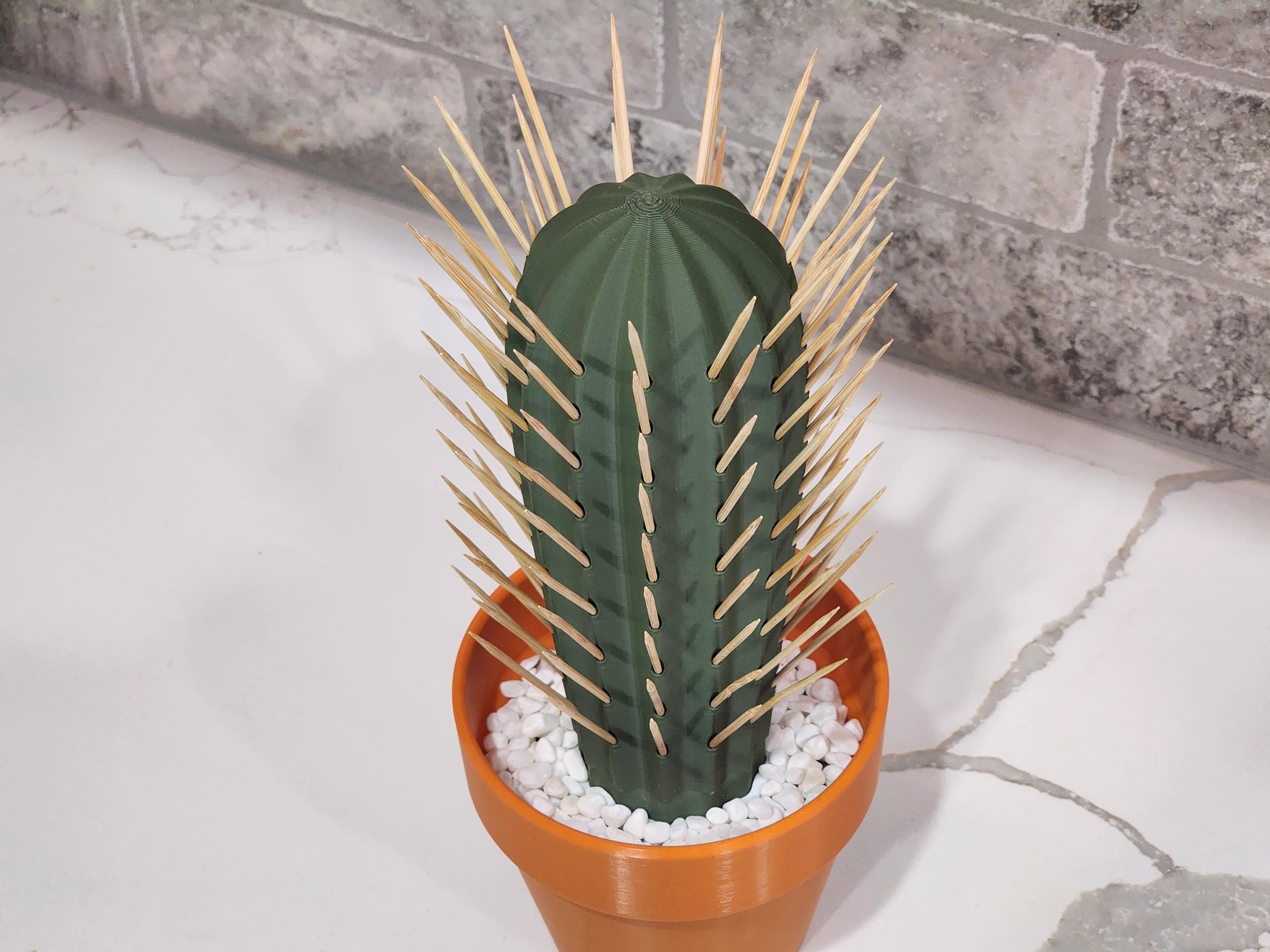 Cactus Toothpick holder 3d model