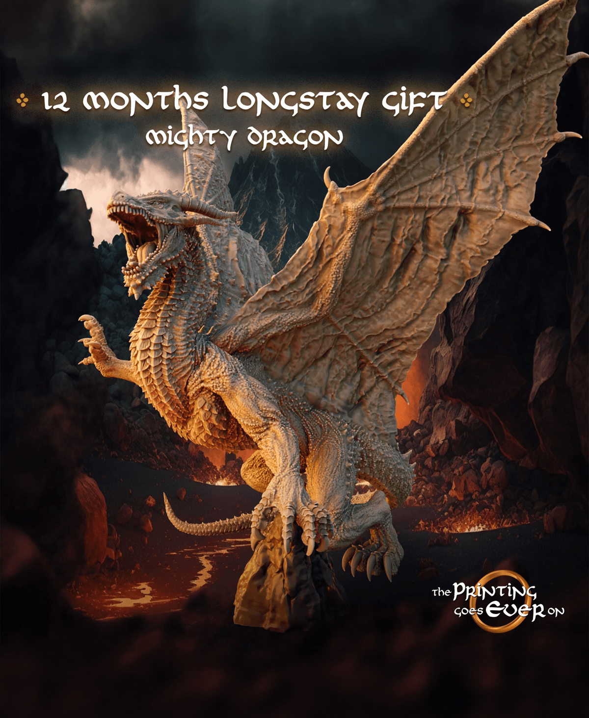 Mighty Dragon - Twelve Month Longstay Gift 3d model