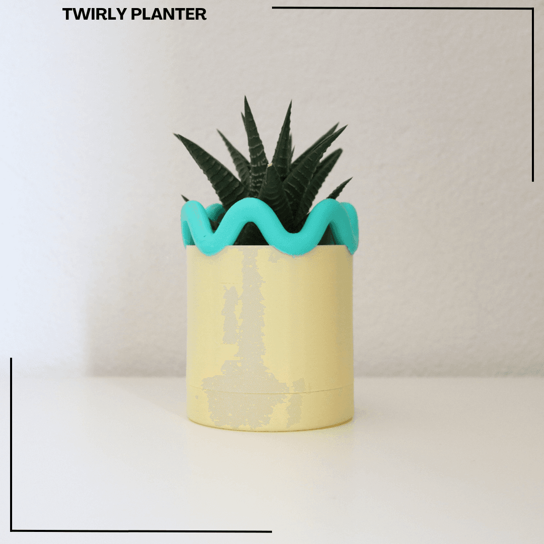 Twirly Vase / Planter 3d model