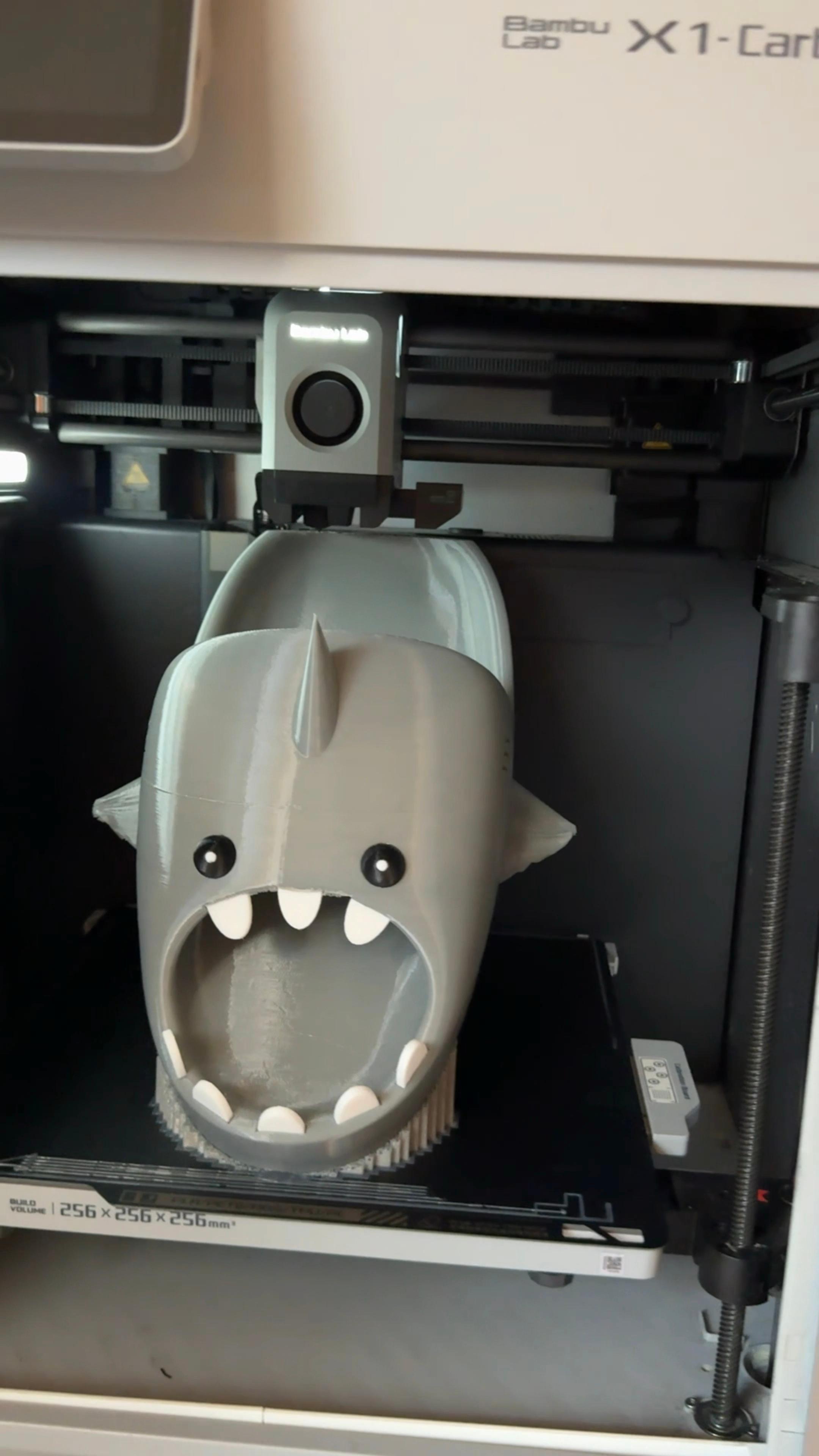 Mad Shark slides 3d model
