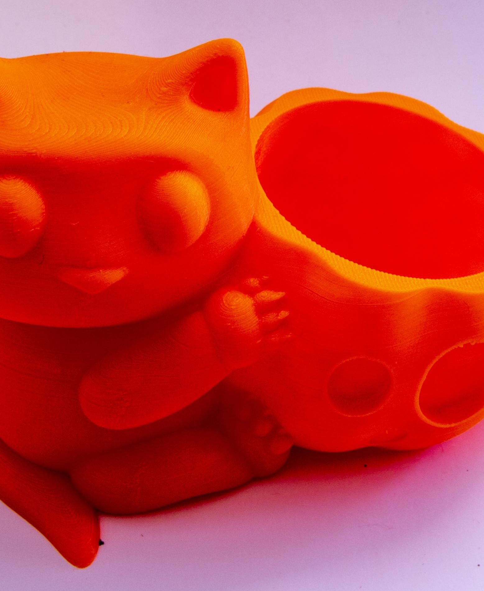 Cat with Pumpkin - Cute Cat - 3d model