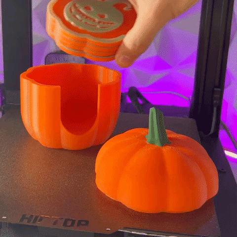 Pumpkin Coasters 3d model