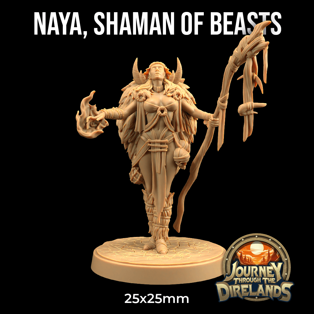 Naya, Shaman of The Beasts 3d model