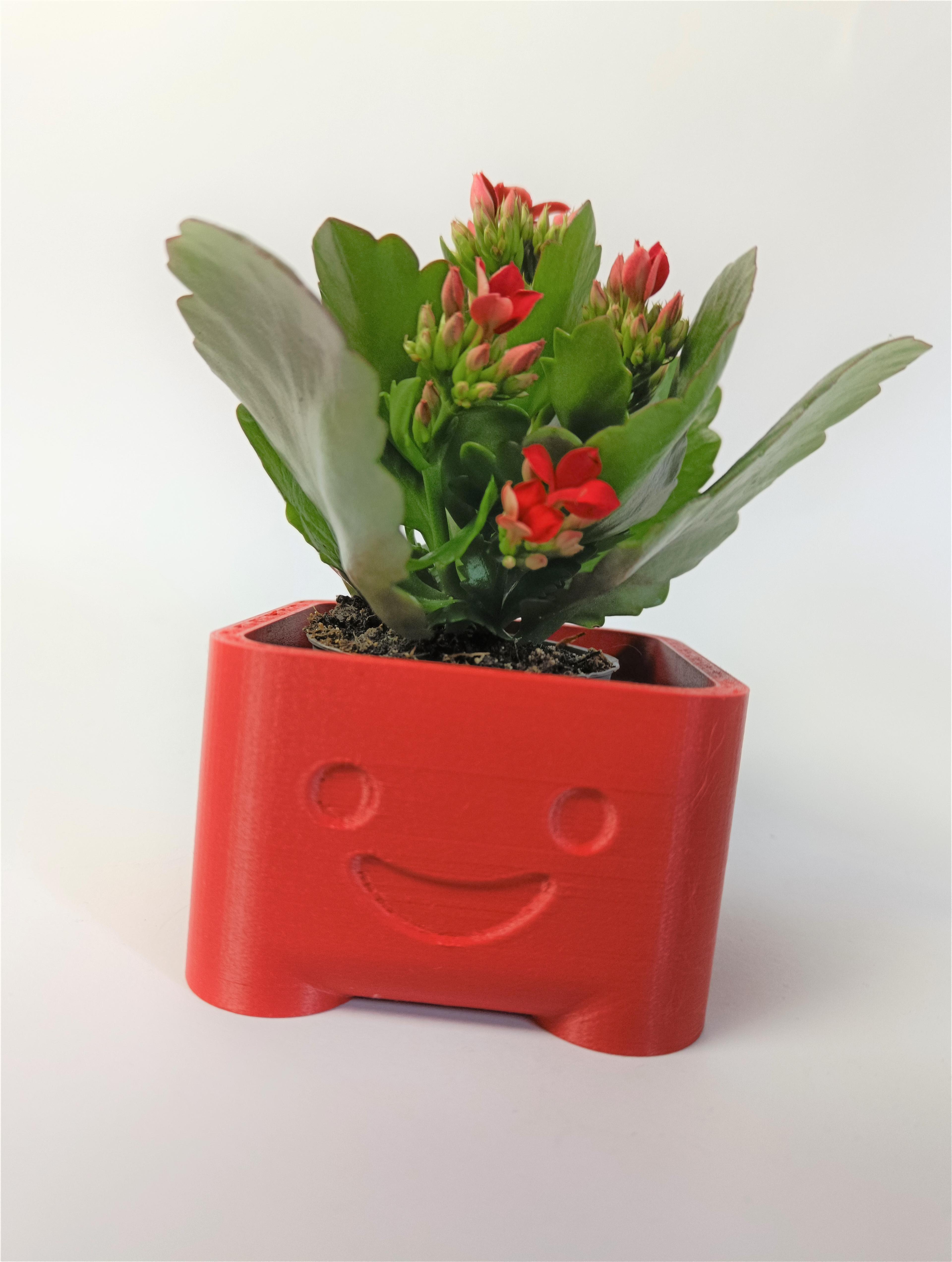 Cute Planter Tim 3d model