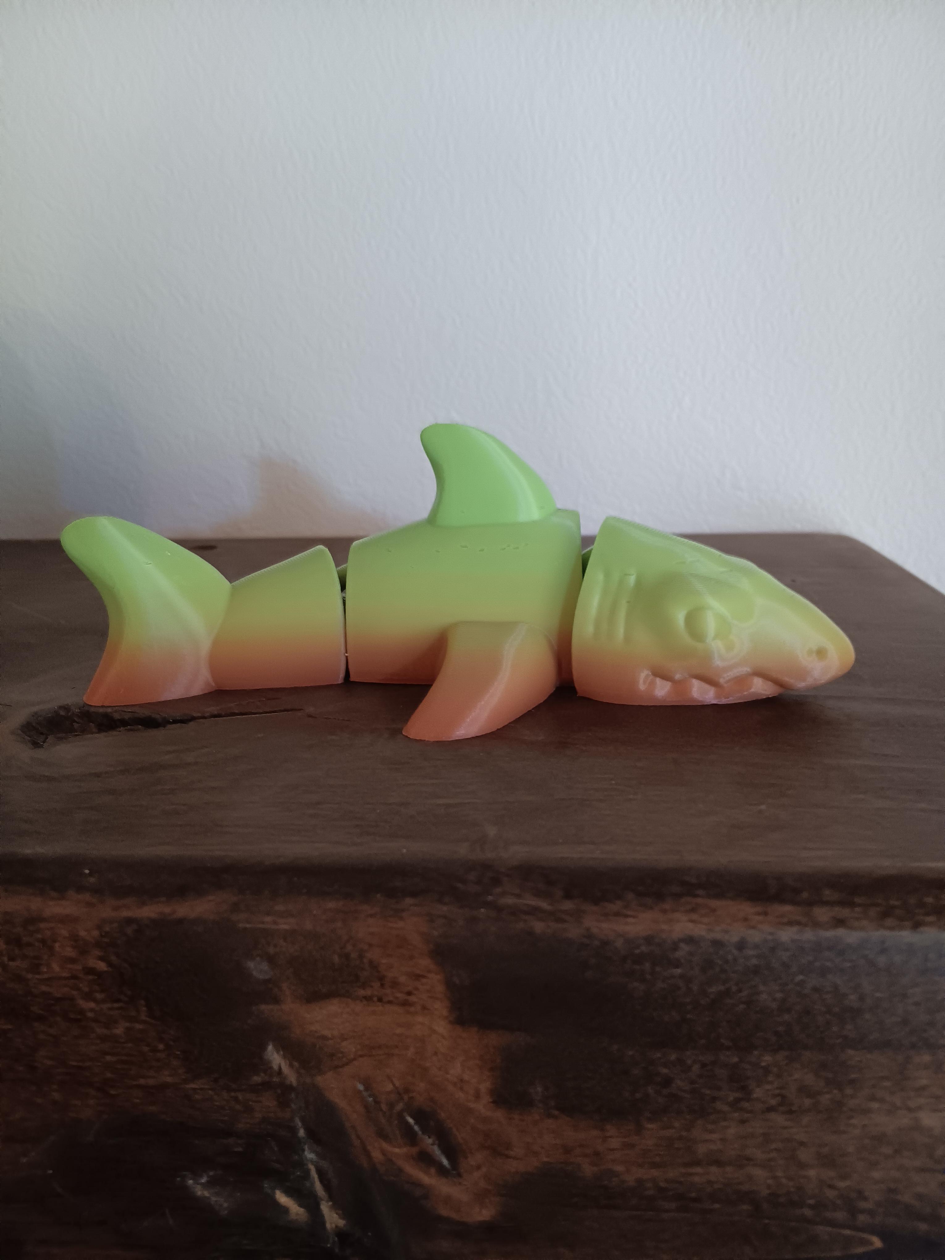 Flexi Shark fidget toy  3d model