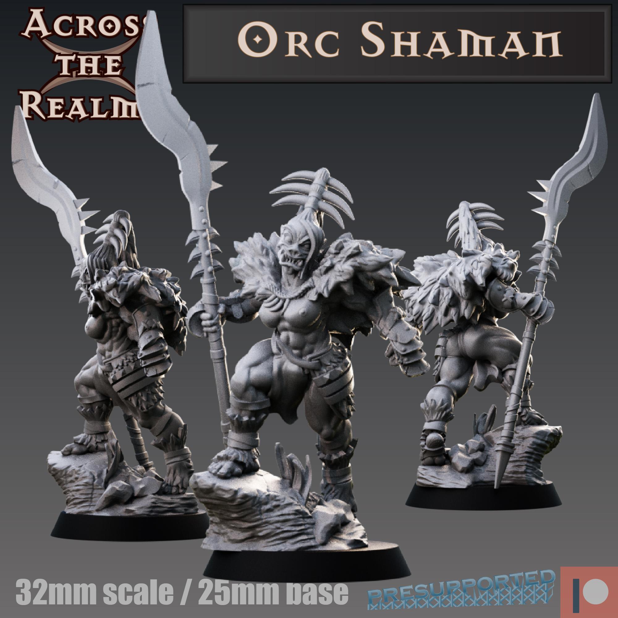 Orc Shaman 3d model