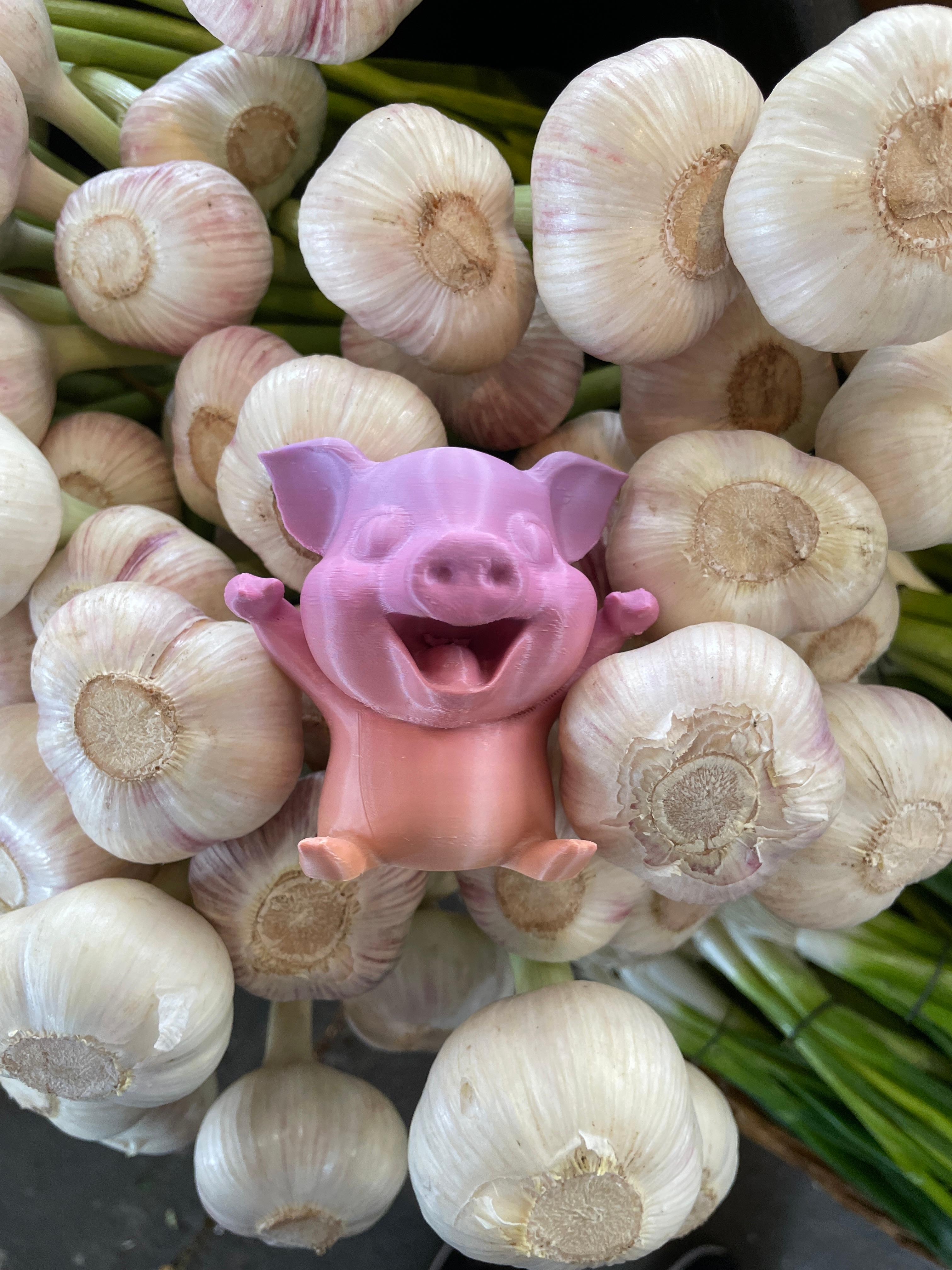 Happy Piglet 3d model