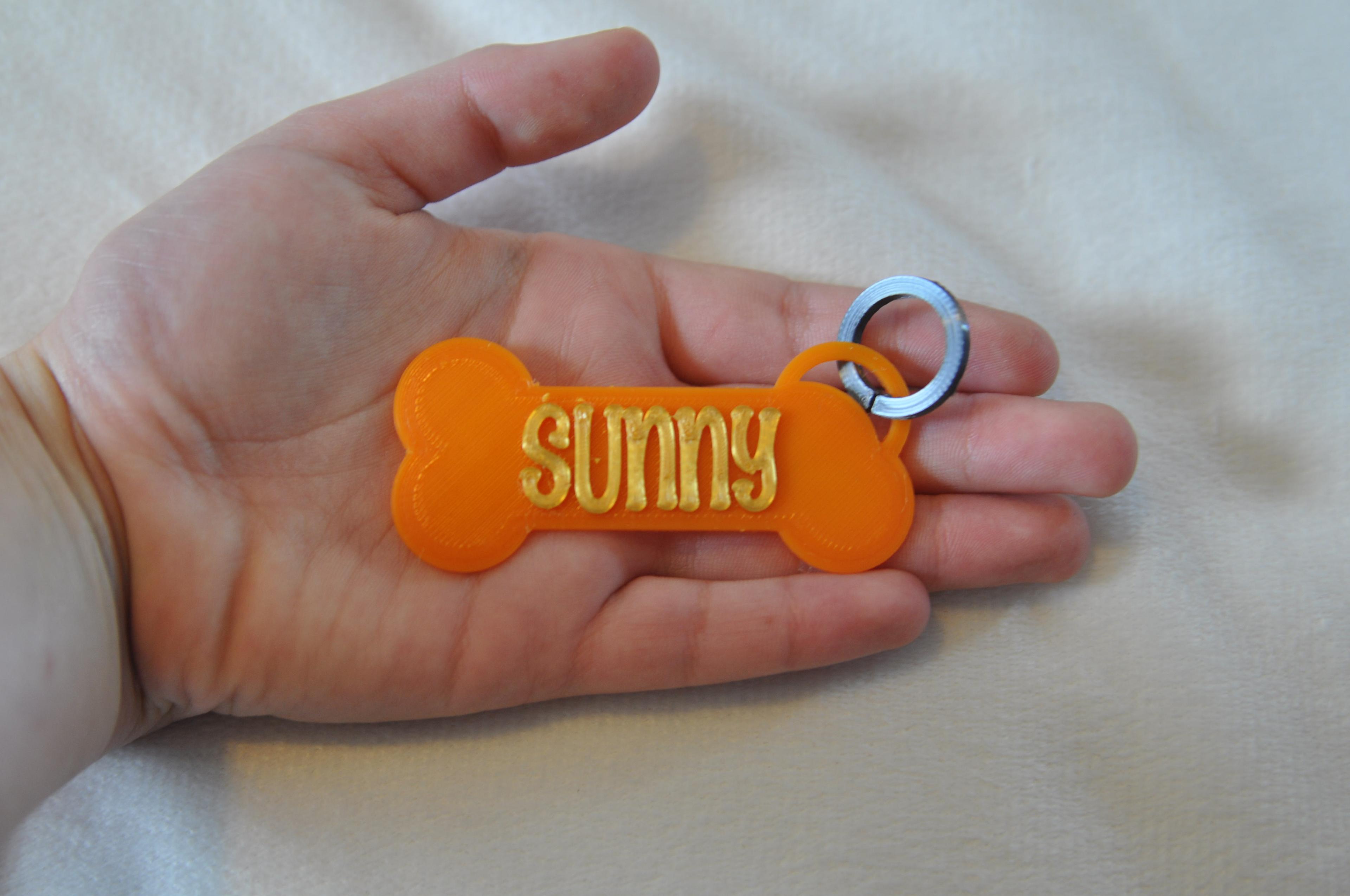 Blank Customizable Dog Tag Keychain 3d model