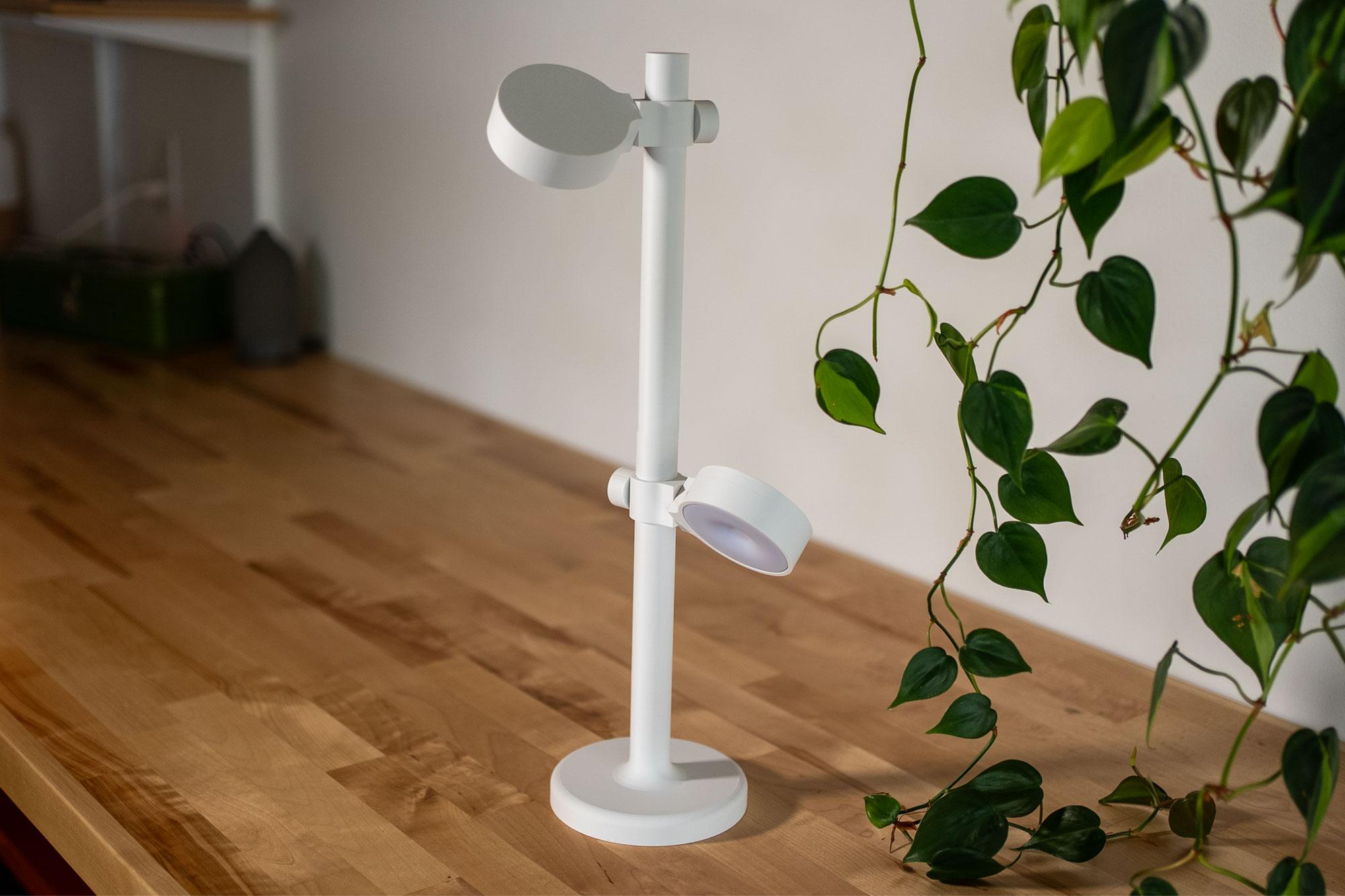 Tap Task Lamp 3d model