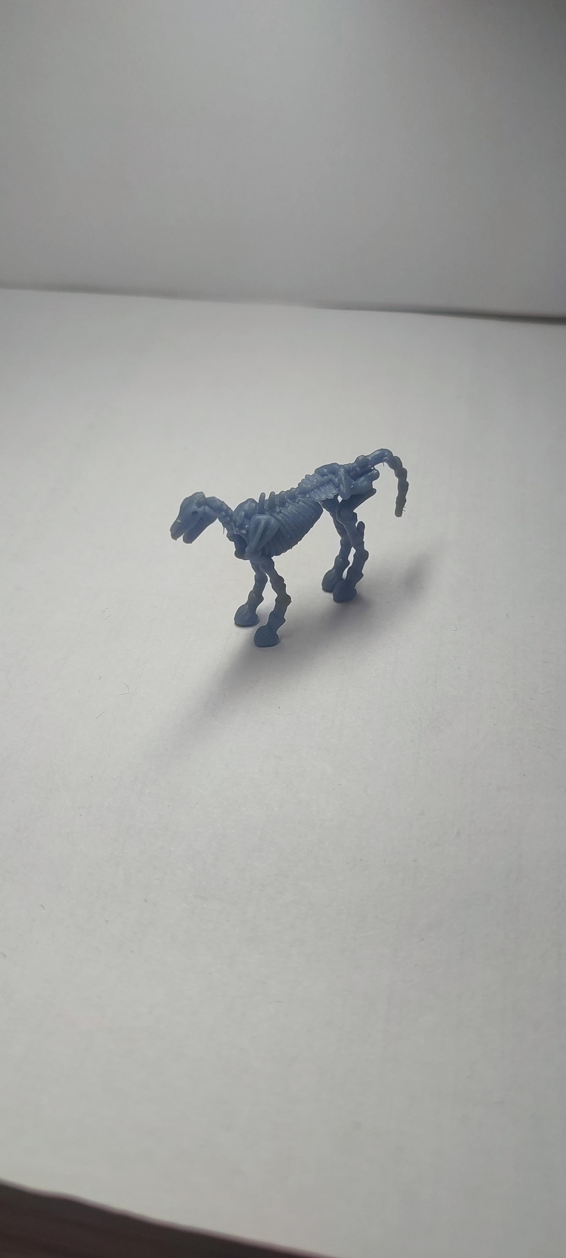 Skeletal Horse 3d model