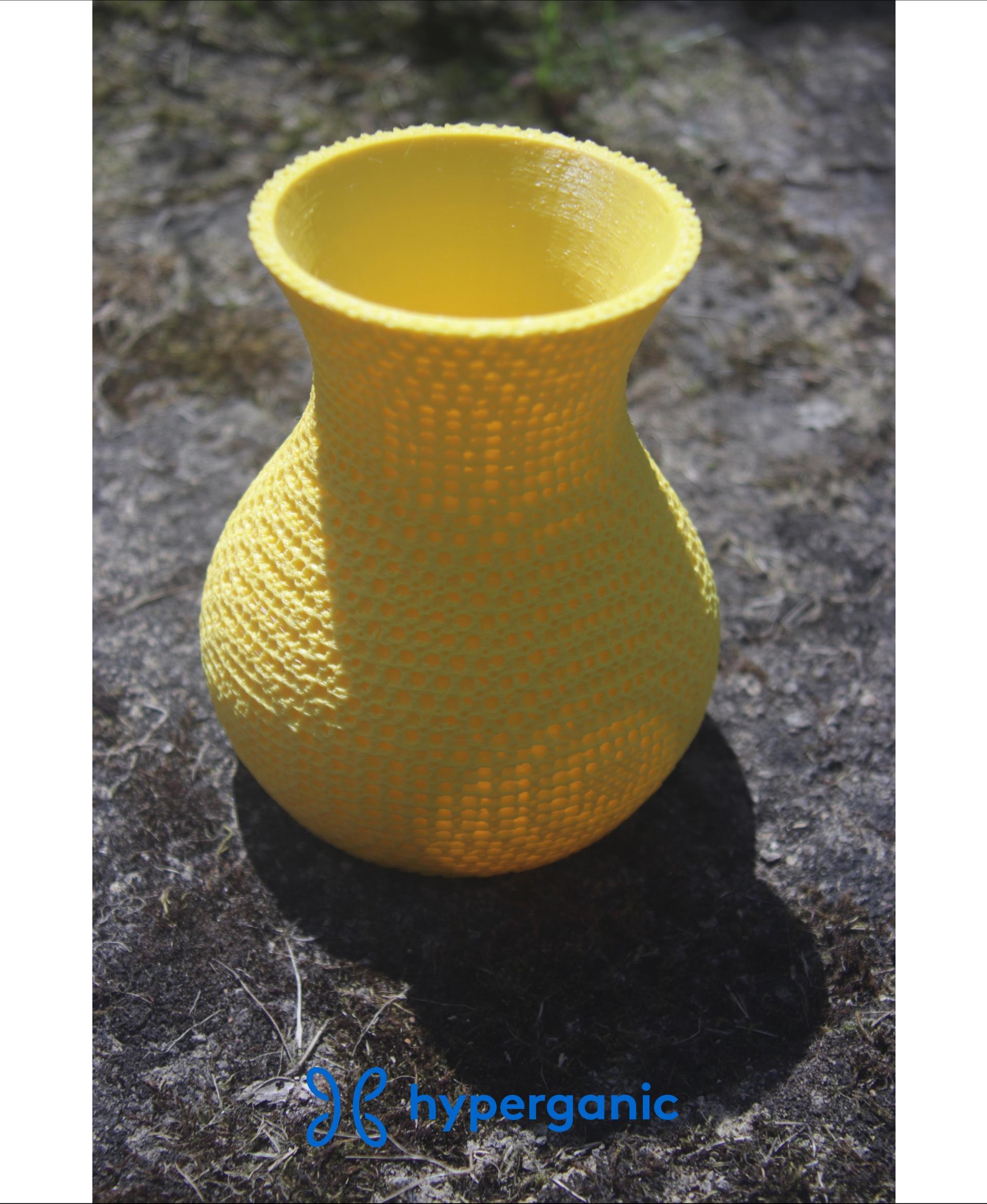 FRD TPMS Lattice Vase  3d model