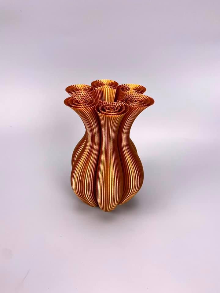 Hexacoil Vase  3d model