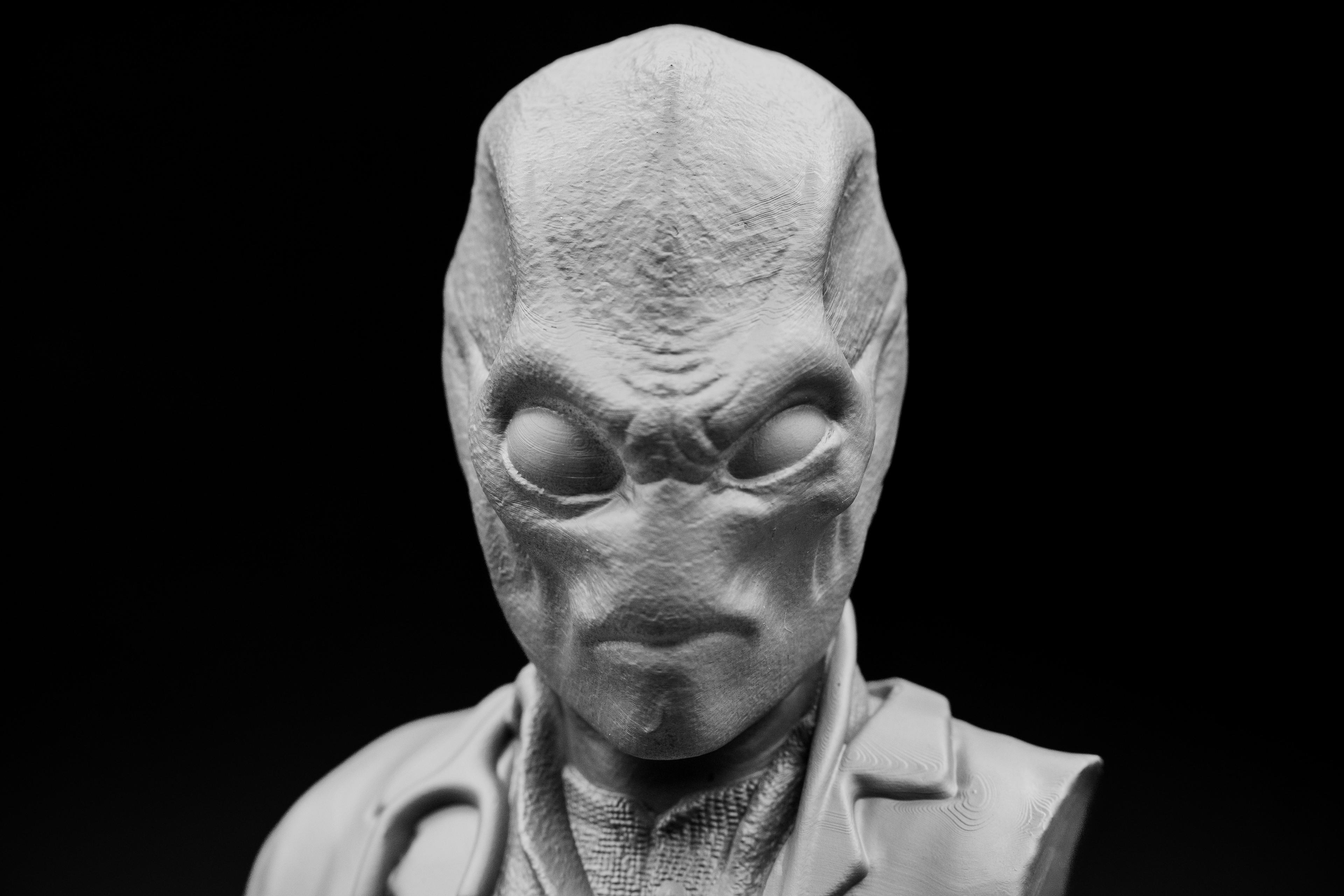 Resident Alien Bust.stl 3d model